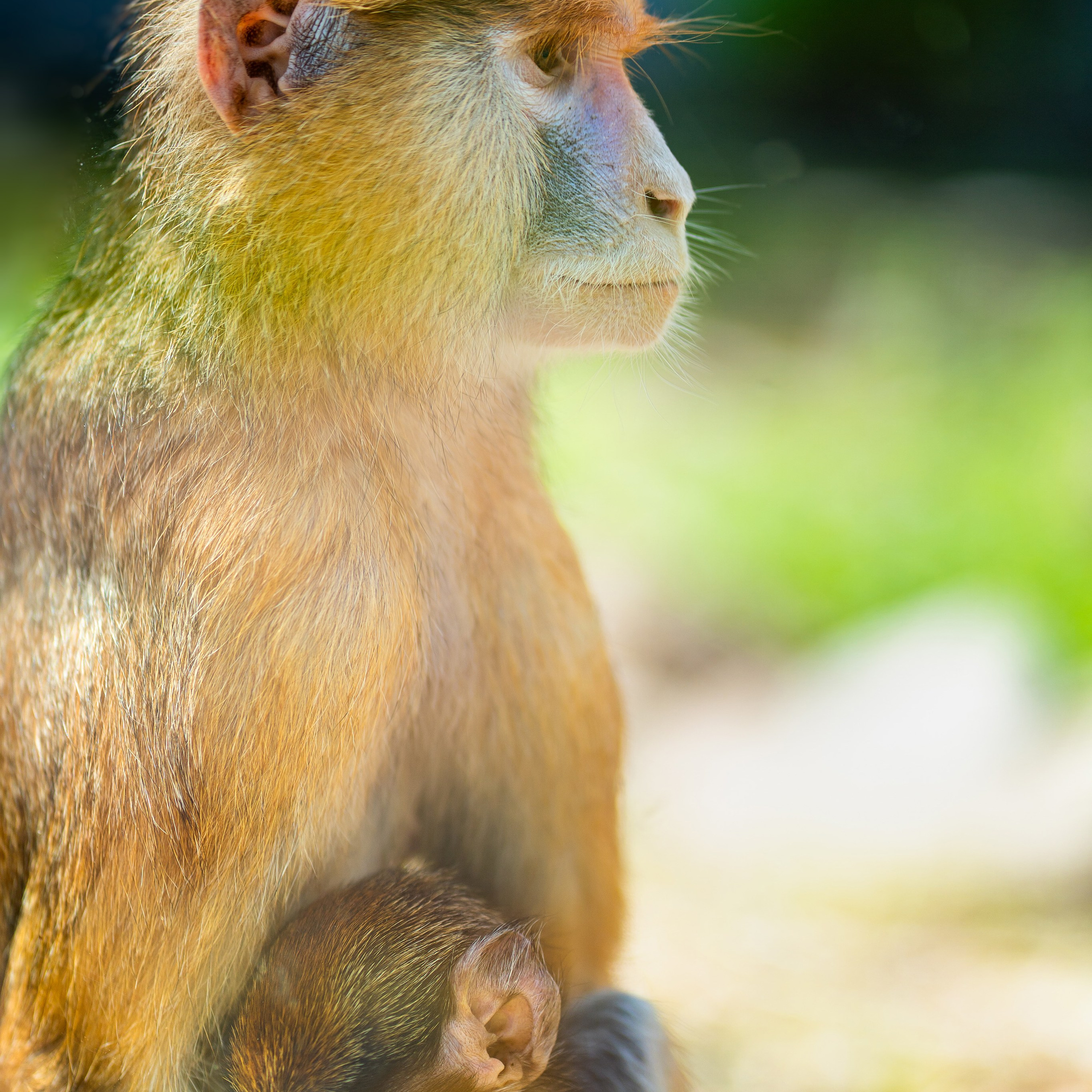 Фото Ростова-на-Дону скачать бесплатно | Красивые виды города, достопримечательности, фасады заведений. Свадебный и семейный фотограф в Ростове-на-Дону. Андрей Сайфутдинов