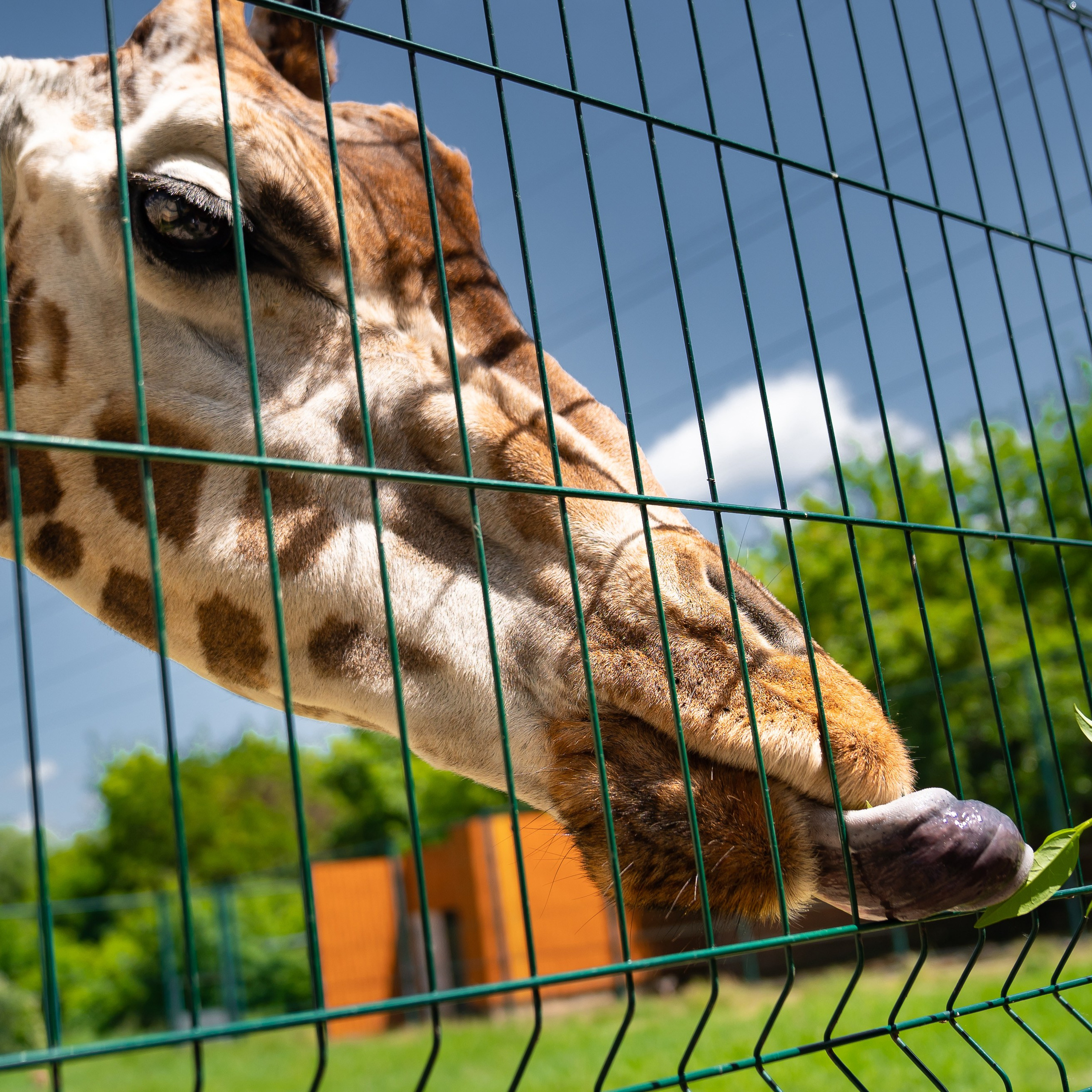 Фото Ростова-на-Дону скачать бесплатно | Красивые виды города, достопримечательности, фасады заведений. Свадебный и семейный фотограф в Ростове-на-Дону. Андрей Сайфутдинов