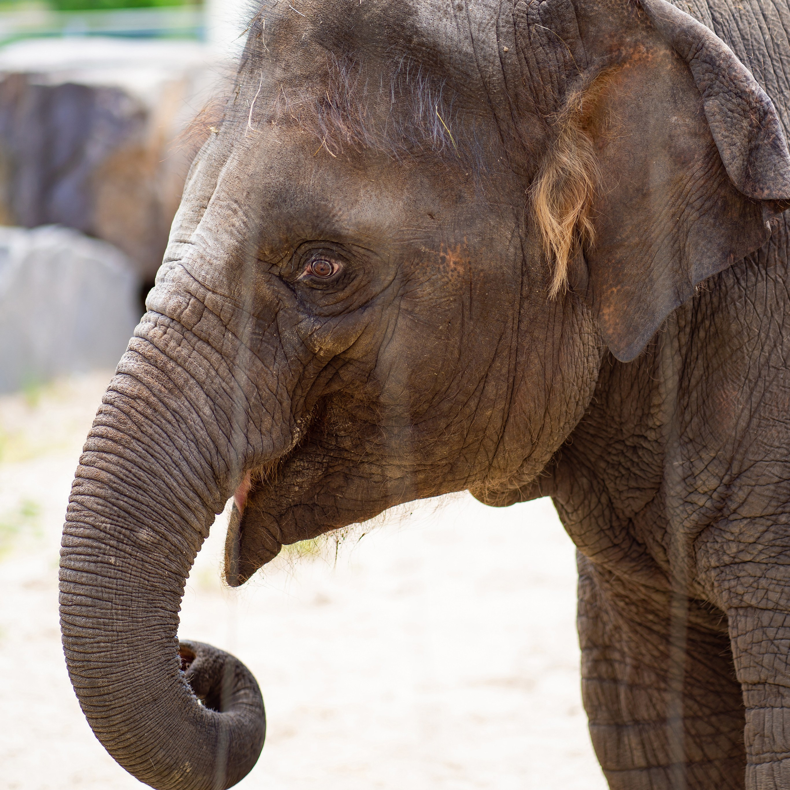 Фото Ростова-на-Дону скачать бесплатно | Красивые виды города, достопримечательности, фасады заведений. Свадебный и семейный фотограф в Ростове-на-Дону. Андрей Сайфутдинов