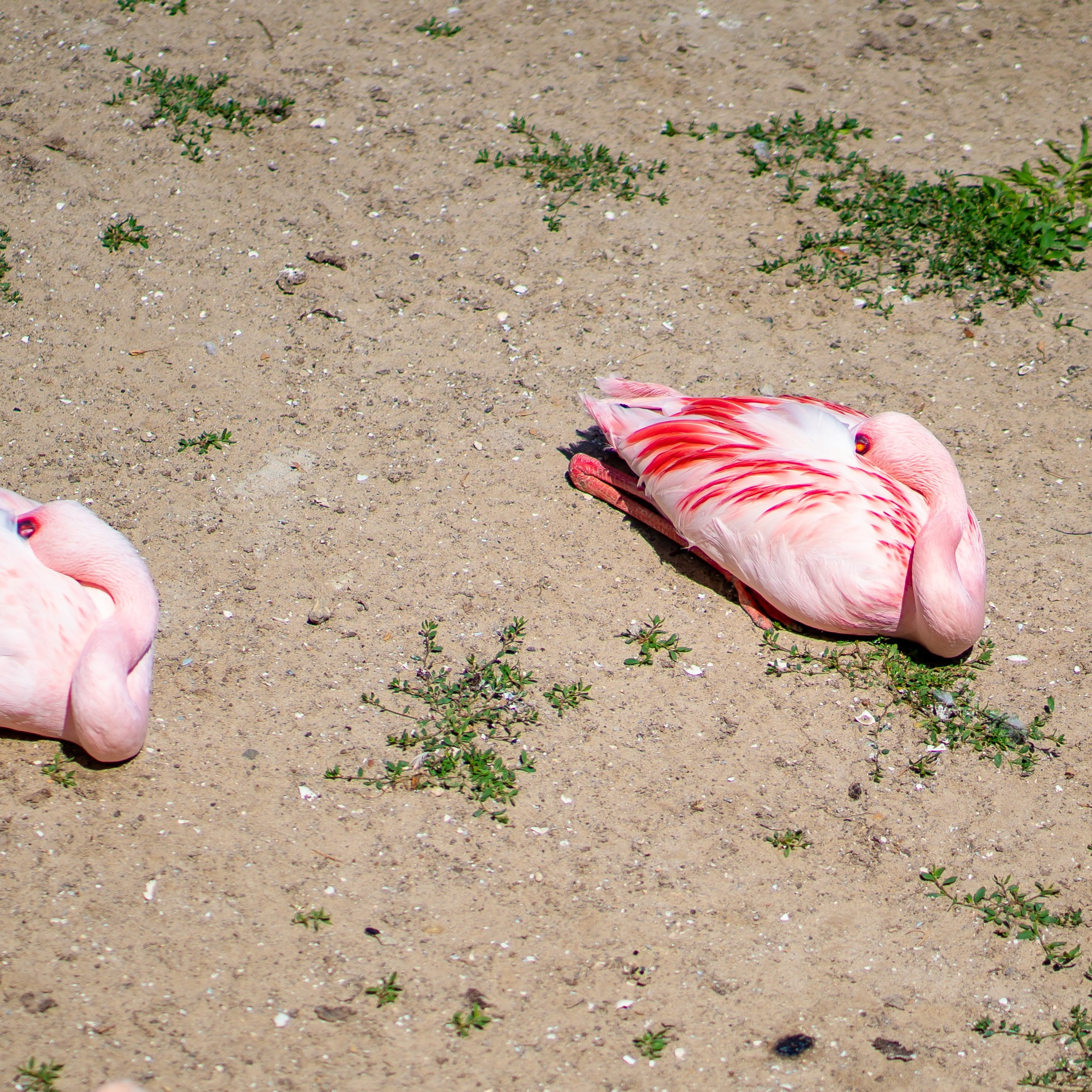 Фото Ростова-на-Дону скачать бесплатно | Красивые виды города, достопримечательности, фасады заведений. Свадебный и семейный фотограф в Ростове-на-Дону. Андрей Сайфутдинов