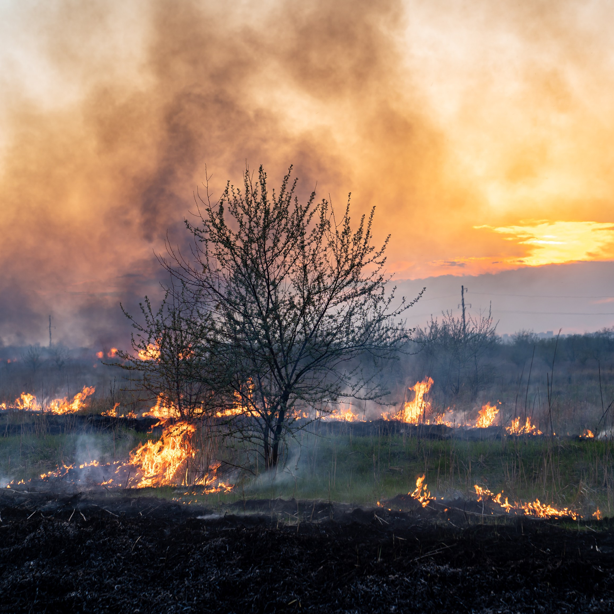 Фото Ростова-на-Дону скачать бесплатно | Красивые виды города, достопримечательности, фасады заведений. Свадебный и семейный фотограф в Ростове-на-Дону. Андрей Сайфутдинов
