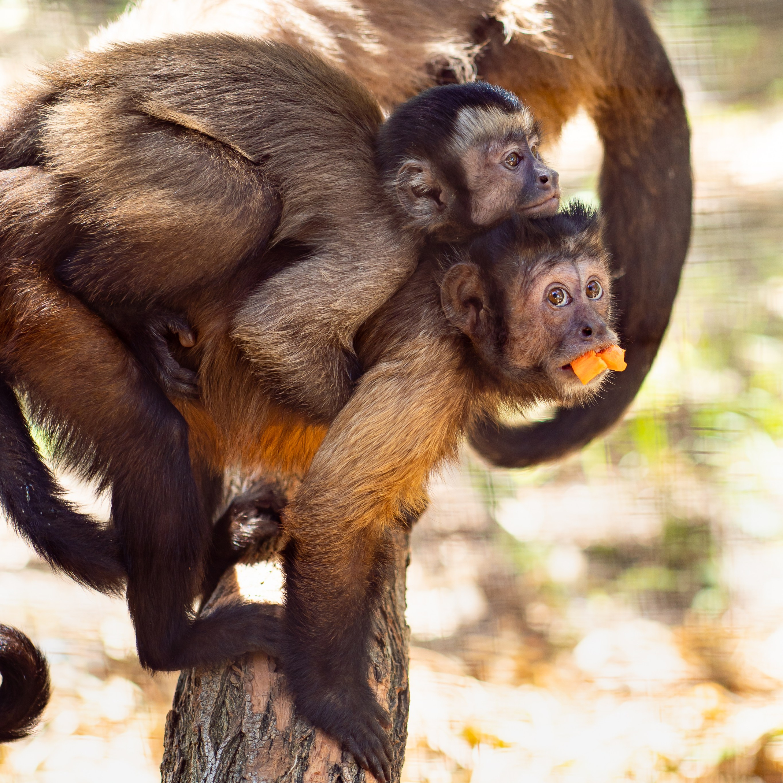 Фото Ростова-на-Дону скачать бесплатно | Красивые виды города, достопримечательности, фасады заведений. Свадебный и семейный фотограф в Ростове-на-Дону. Андрей Сайфутдинов