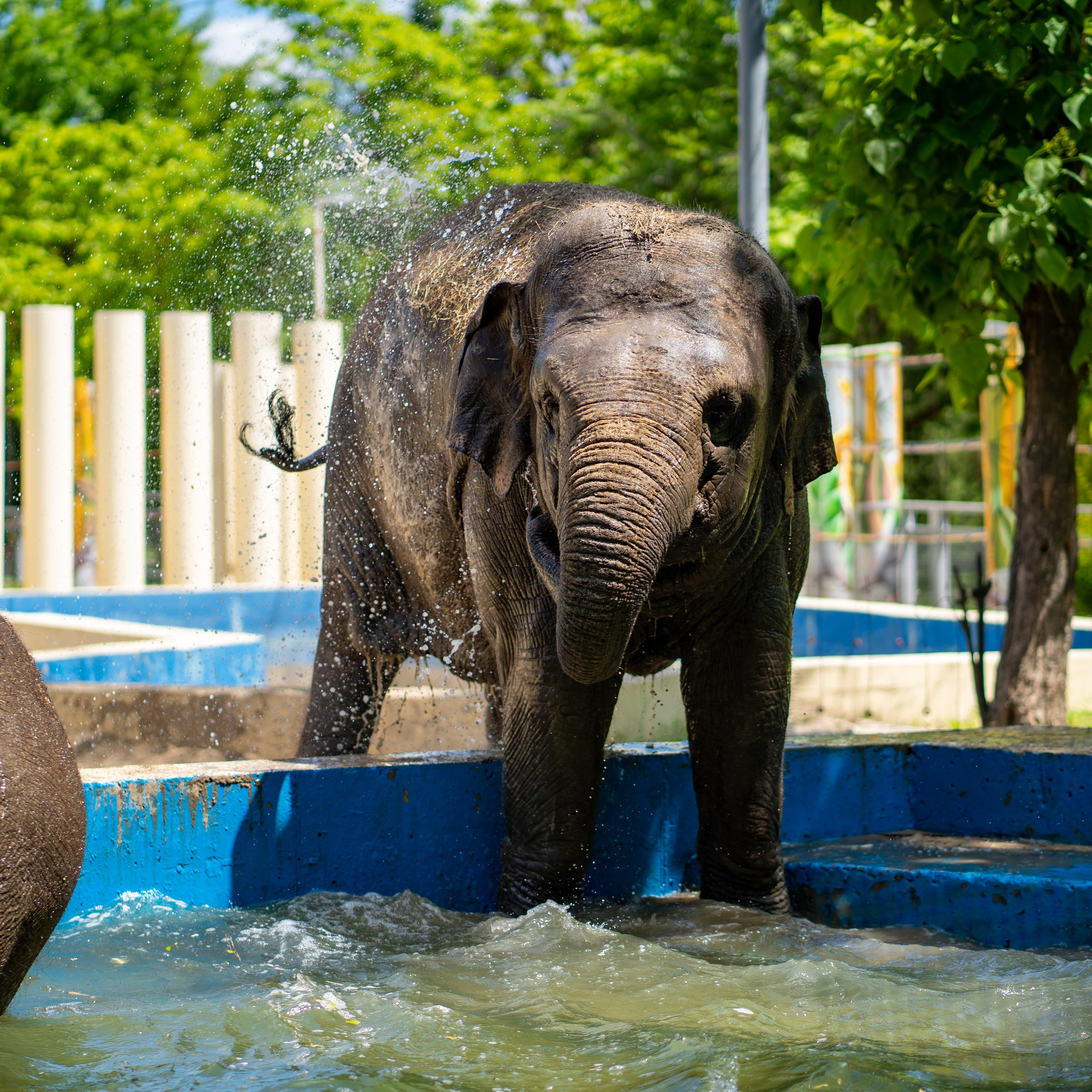 Фото Ростова-на-Дону скачать бесплатно | Красивые виды города, достопримечательности, фасады заведений. Свадебный и семейный фотограф в Ростове-на-Дону. Андрей Сайфутдинов