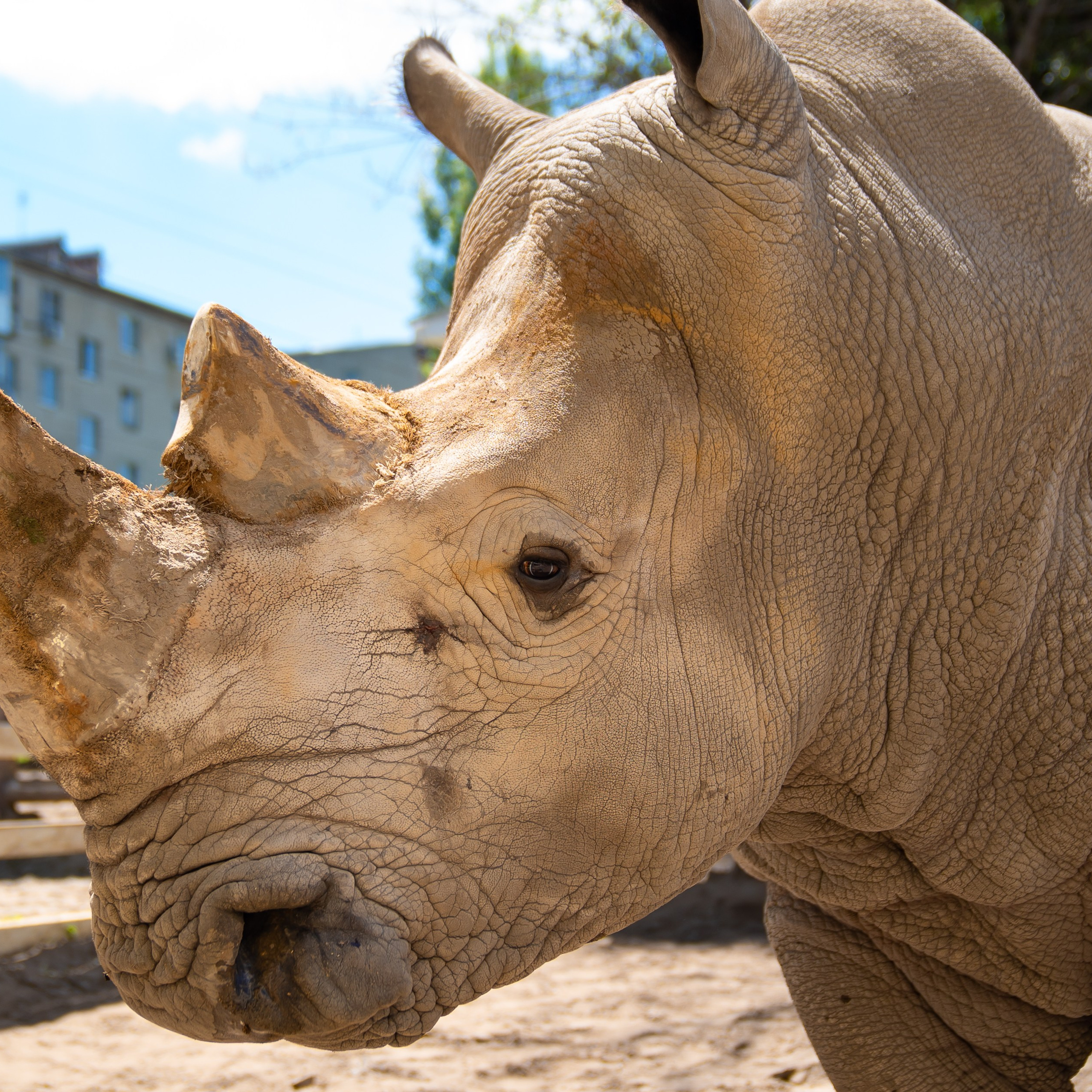 Фото Ростова-на-Дону скачать бесплатно | Красивые виды города, достопримечательности, фасады заведений. Свадебный и семейный фотограф в Ростове-на-Дону. Андрей Сайфутдинов