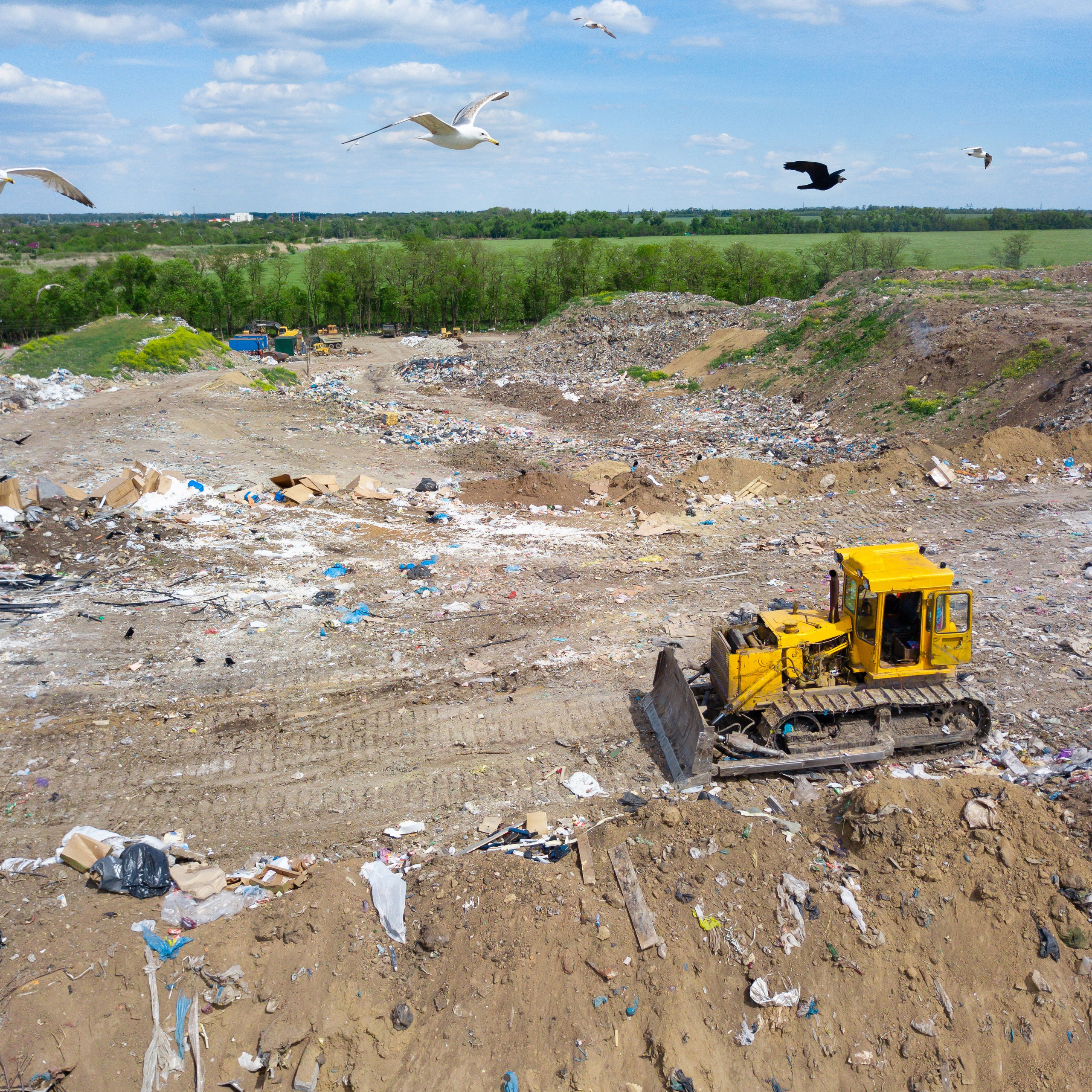 Фото Ростова-на-Дону скачать бесплатно | Красивые виды города, достопримечательности, фасады заведений. Свадебный и семейный фотограф в Ростове-на-Дону. Андрей Сайфутдинов