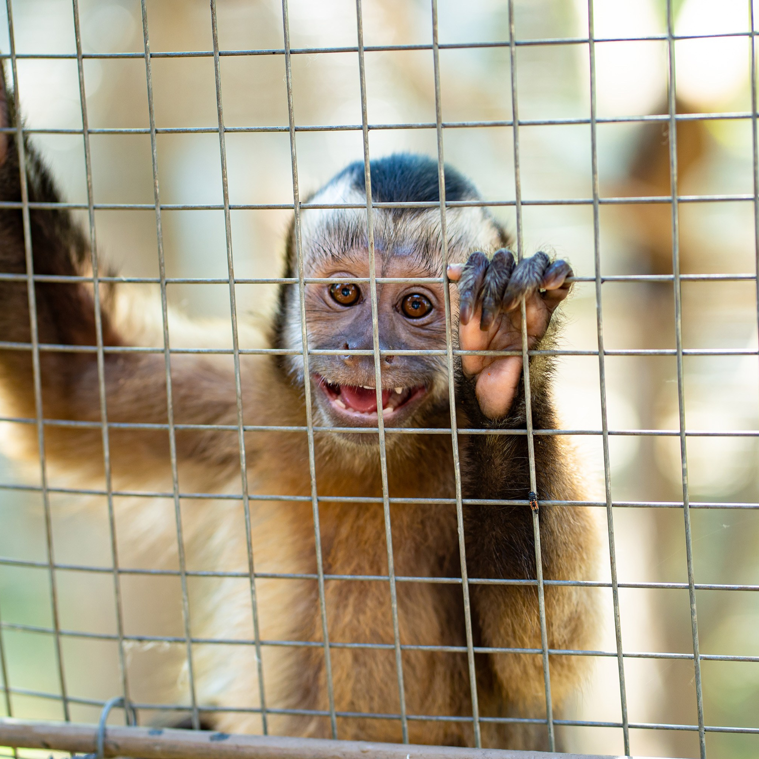 Фото Ростова-на-Дону скачать бесплатно | Красивые виды города, достопримечательности, фасады заведений. Свадебный и семейный фотограф в Ростове-на-Дону. Андрей Сайфутдинов