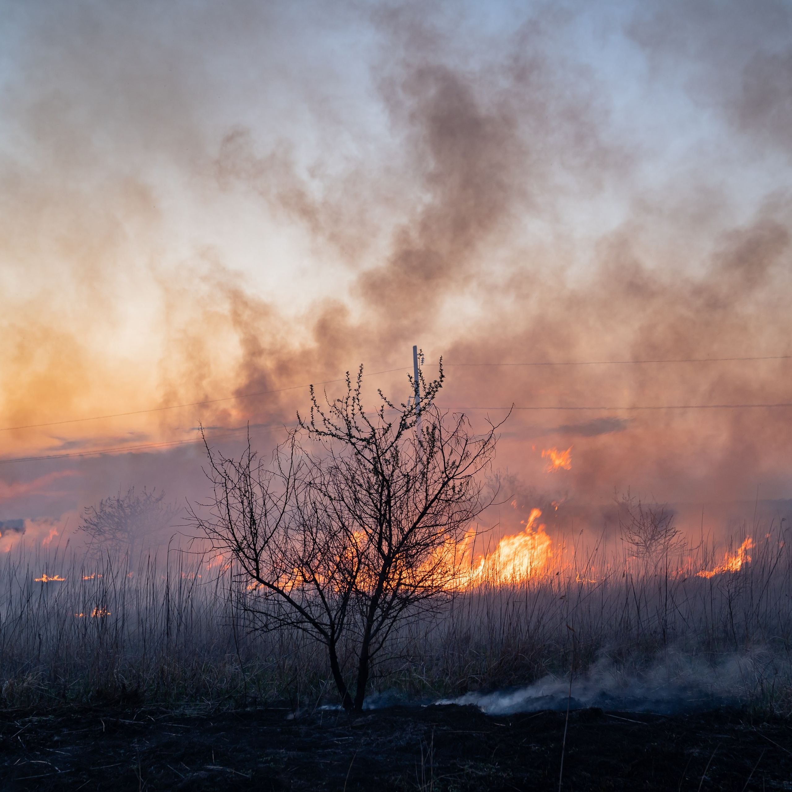 Фото Ростова-на-Дону скачать бесплатно | Красивые виды города, достопримечательности, фасады заведений. Свадебный и семейный фотограф в Ростове-на-Дону. Андрей Сайфутдинов