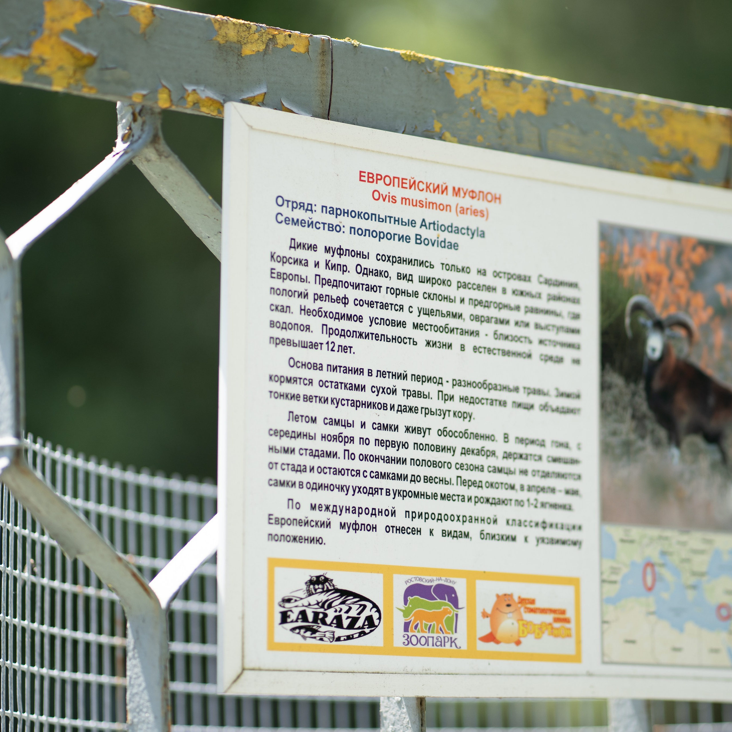 Фото Ростова-на-Дону скачать бесплатно | Красивые виды города, достопримечательности, фасады заведений. Свадебный и семейный фотограф в Ростове-на-Дону. Андрей Сайфутдинов