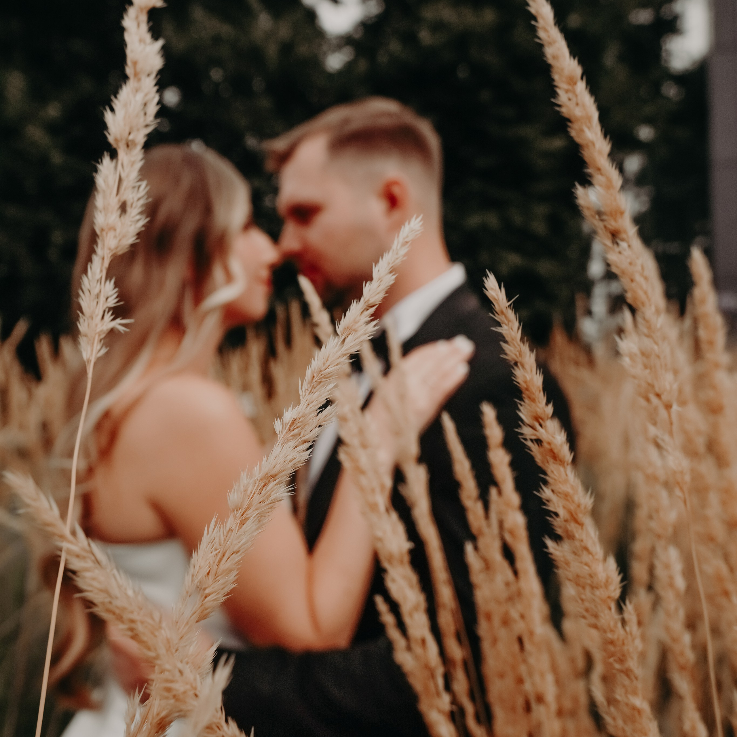 Прекрасное в малом. Фото | Видео Контент Мишель Ватаманюк