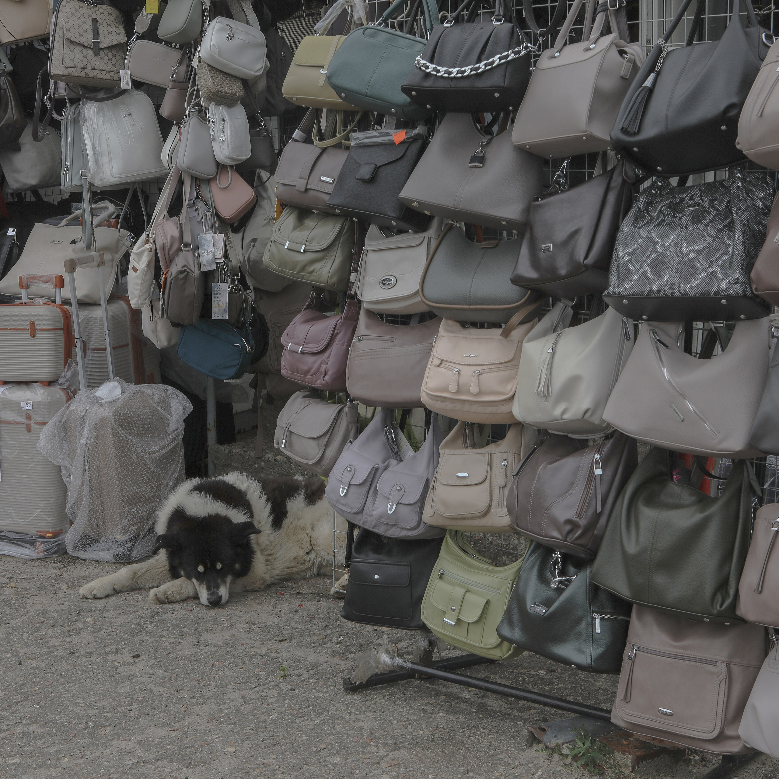 Рынок, который есть сегодня. Фотограф Наталья Туева FineArt съёмка