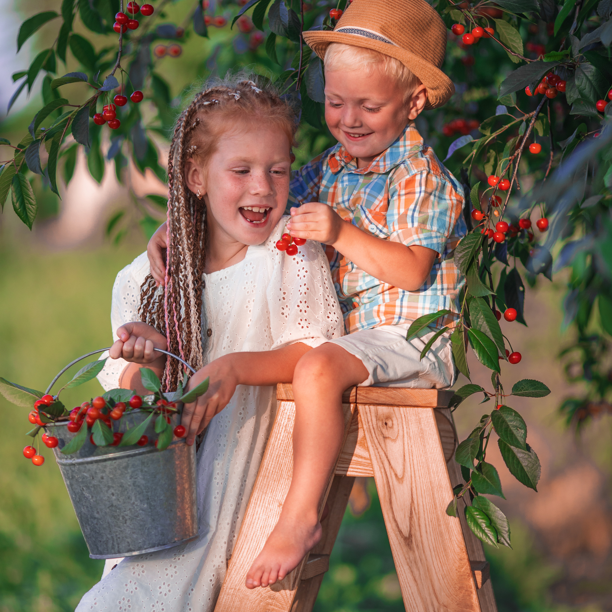 ВИШНЯ — Июль