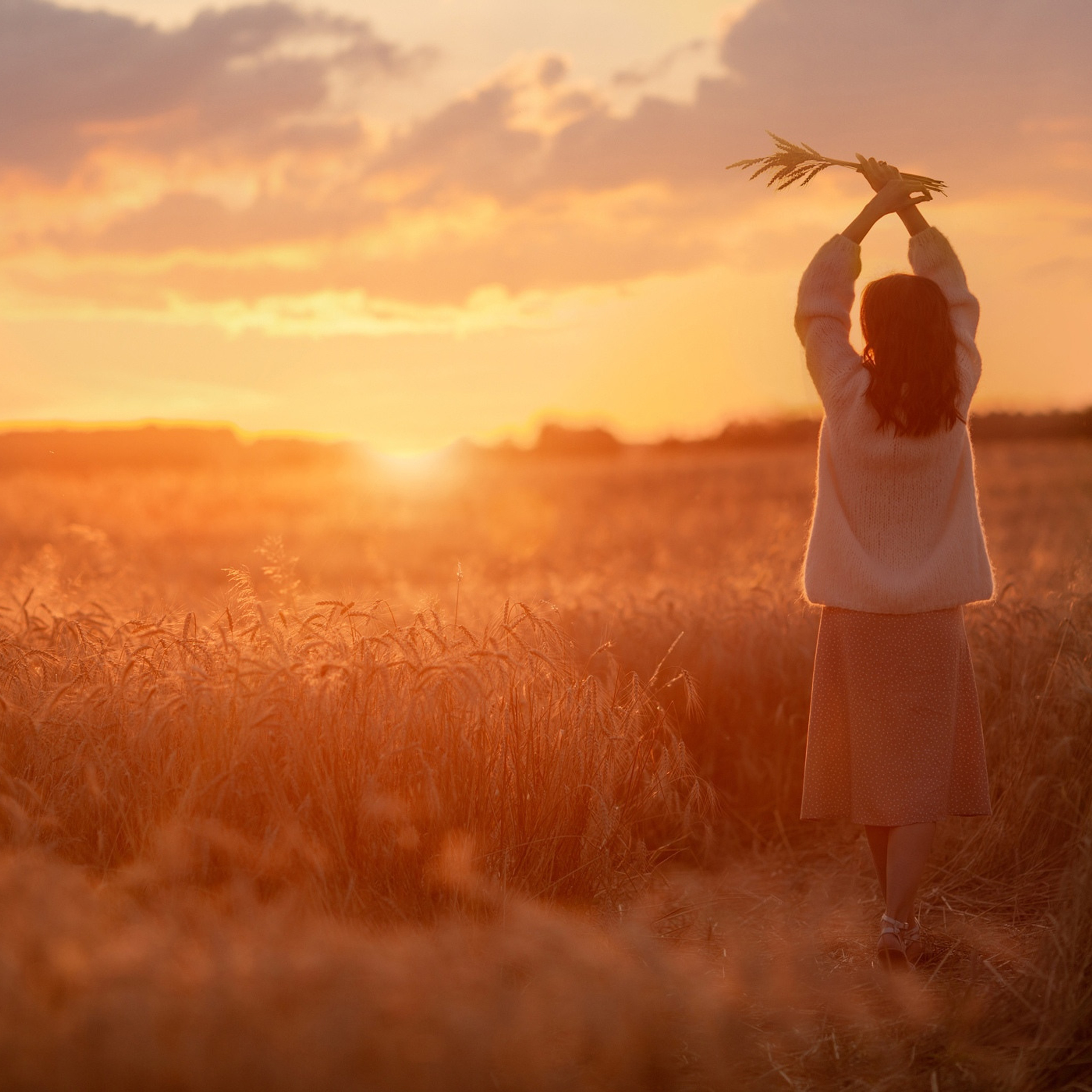 Пшеничные и ржаные поля ИЮЛЬ–АВГУСТ