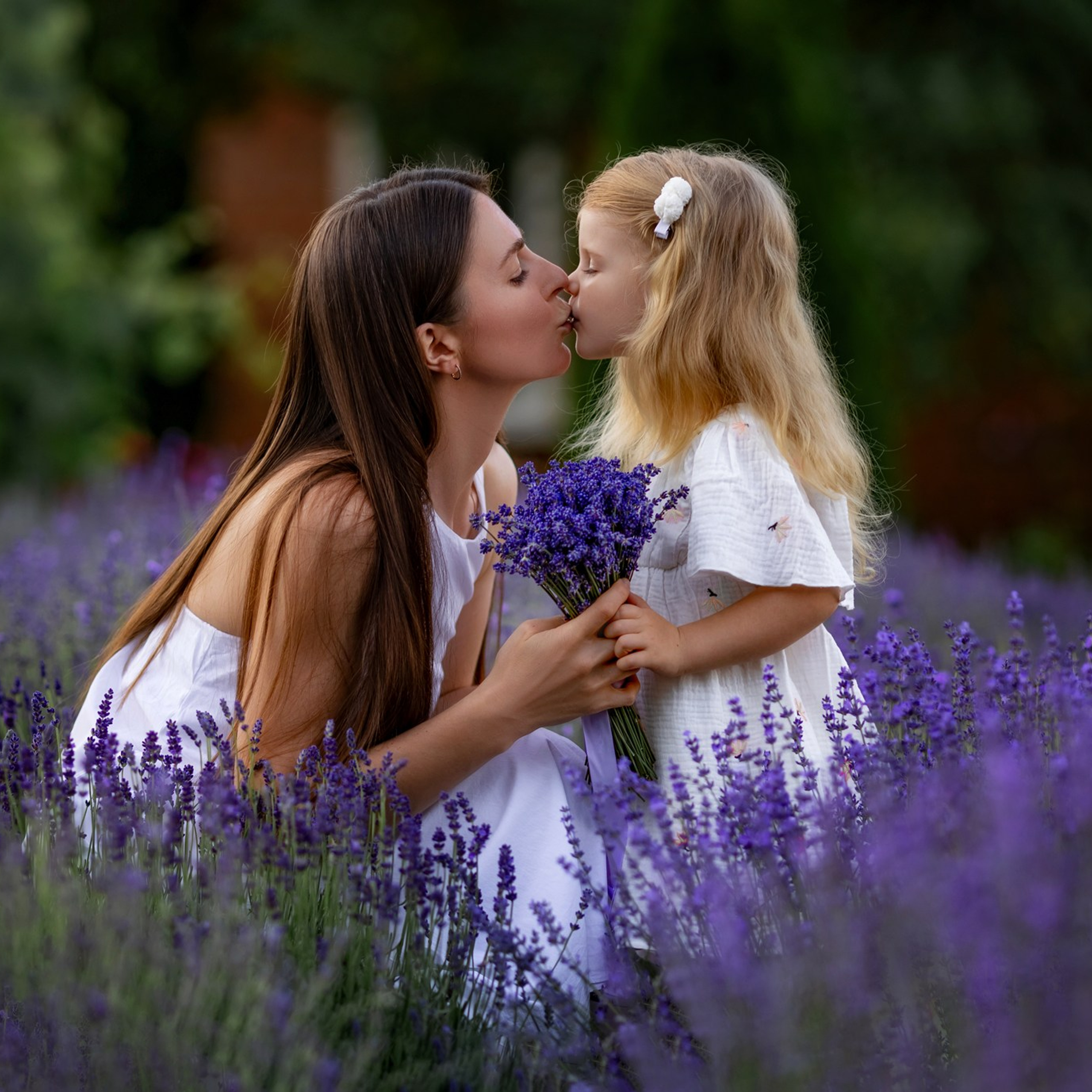 Лаванда июнь–июль