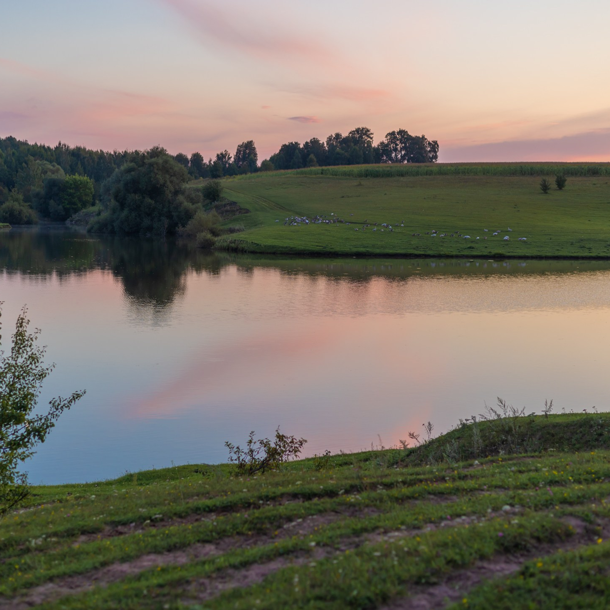 Толмачевский пруд