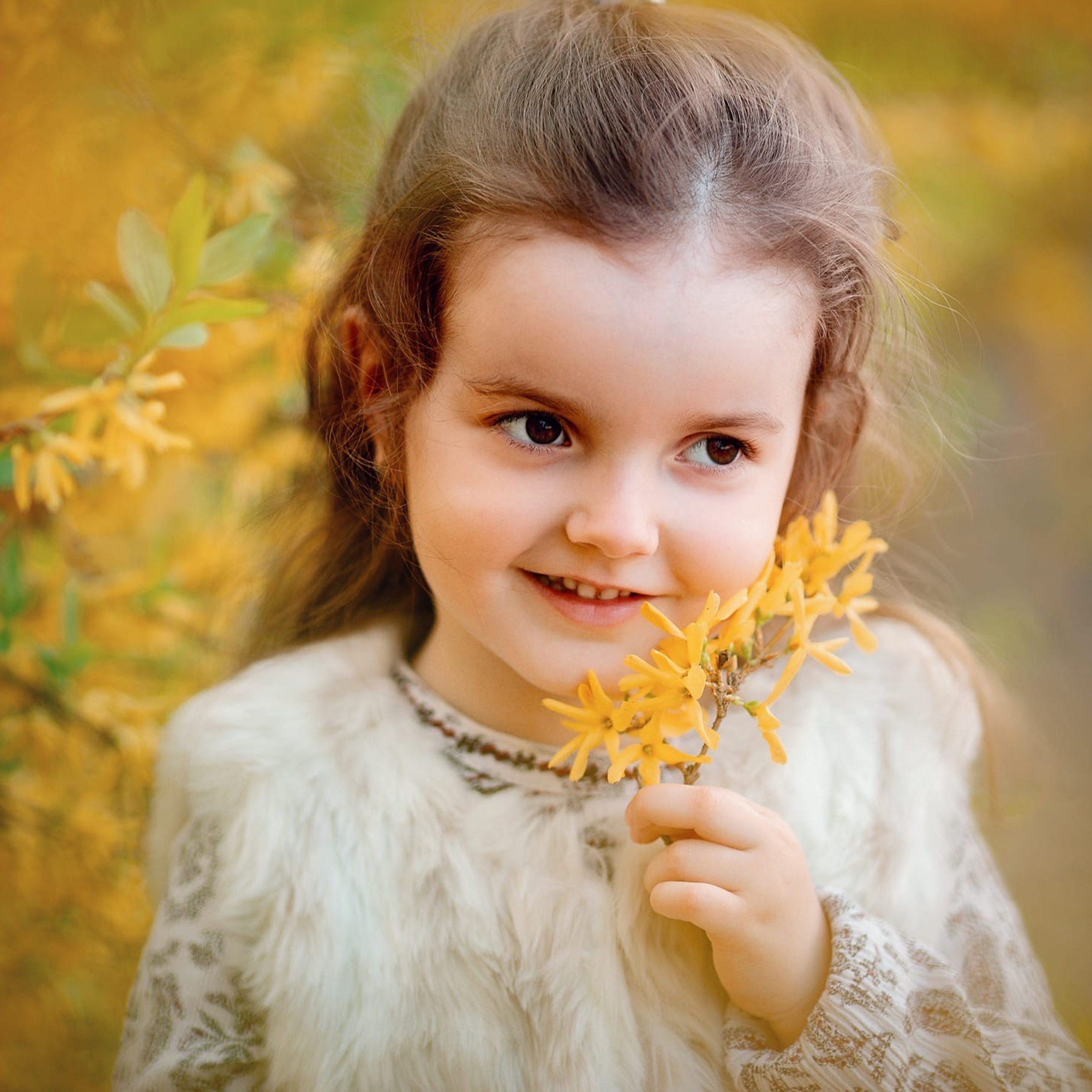 Форзиция АПРЕЛЬ–МАЙ