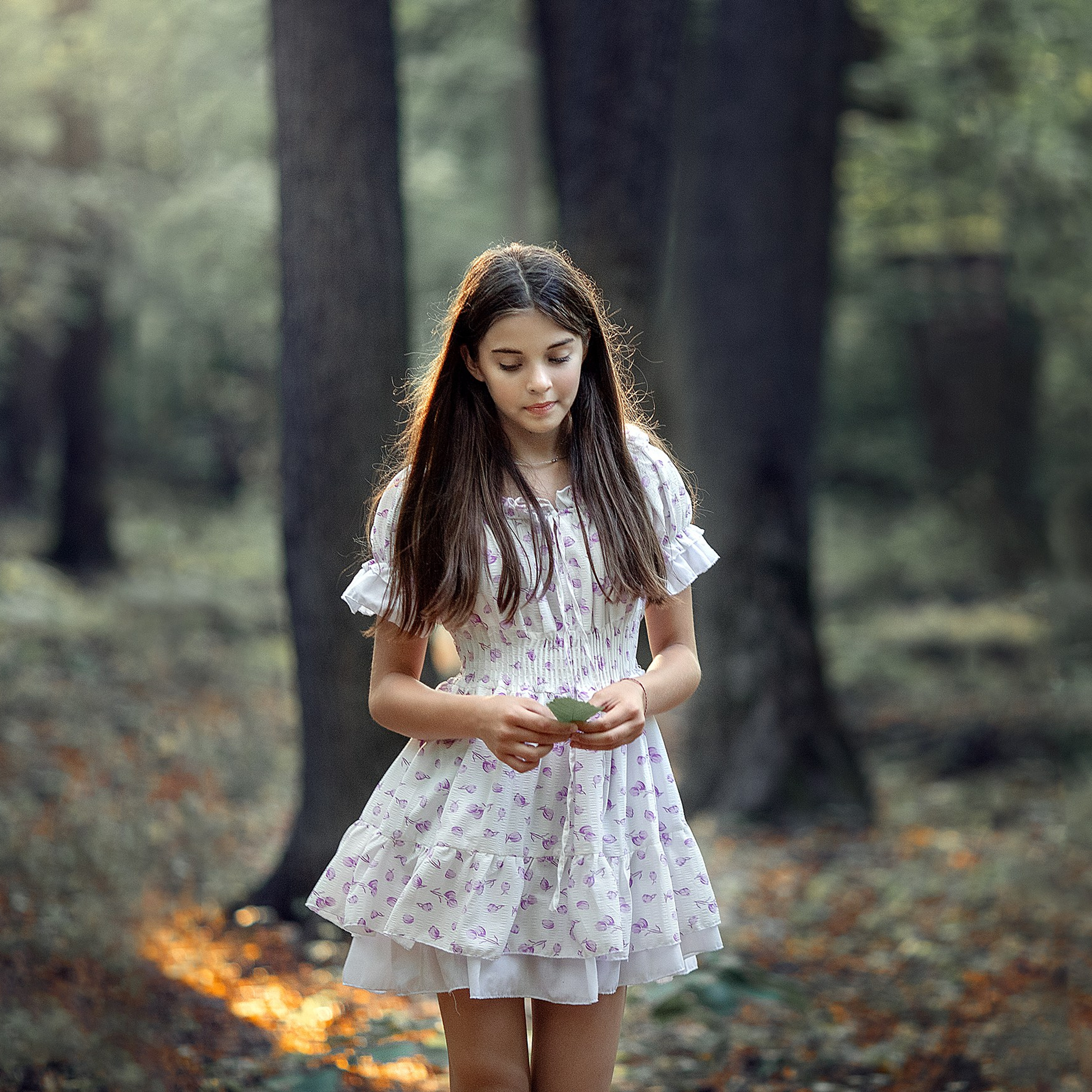 Комплект из 5 видеоуроков по художественной обработке. Фотограф Александр Солнечный