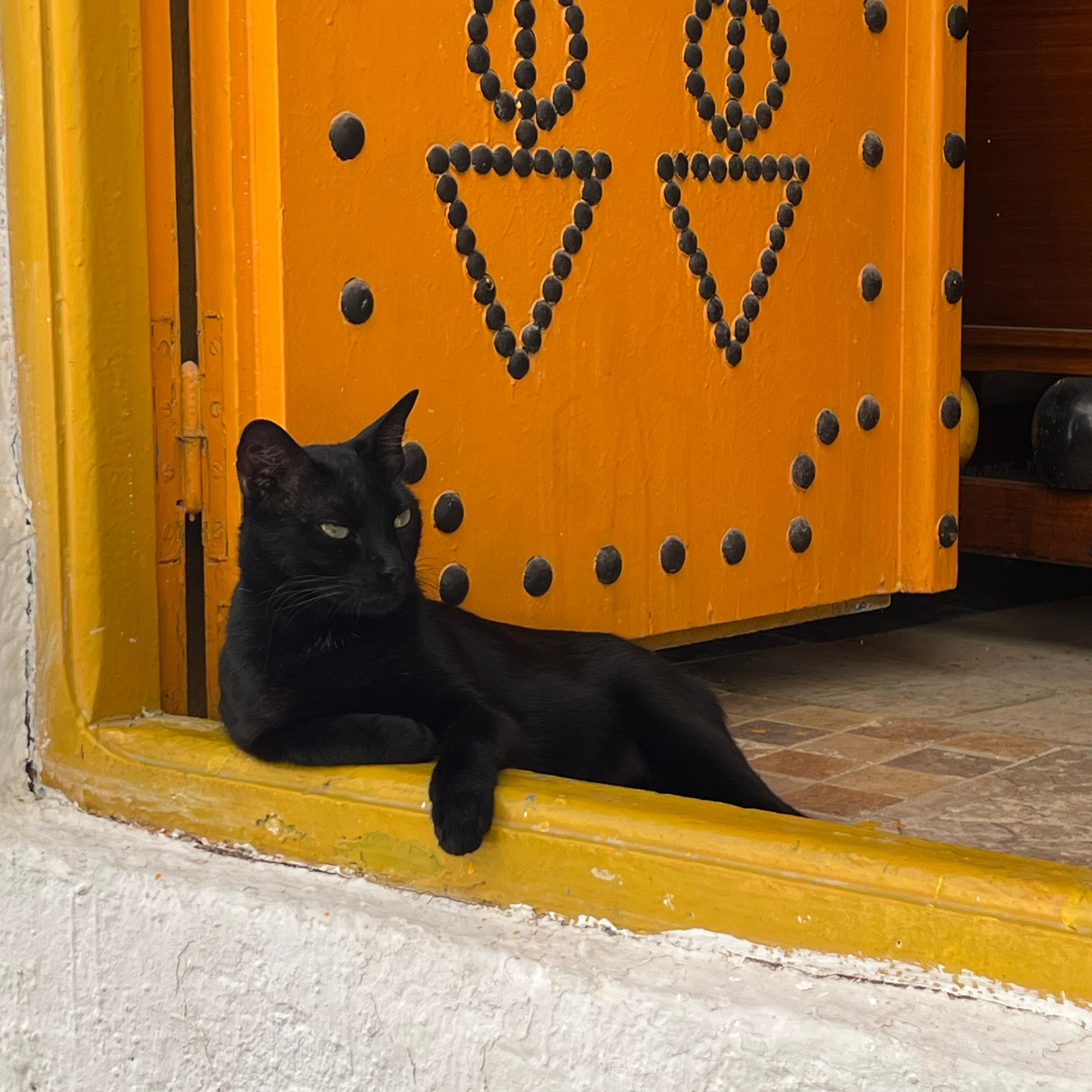 ЖАРА. Свадебный и семейный фотограф-Королева Натали/Раменское-Жуковский-Москва/тел.+7 (985) 153-75-43