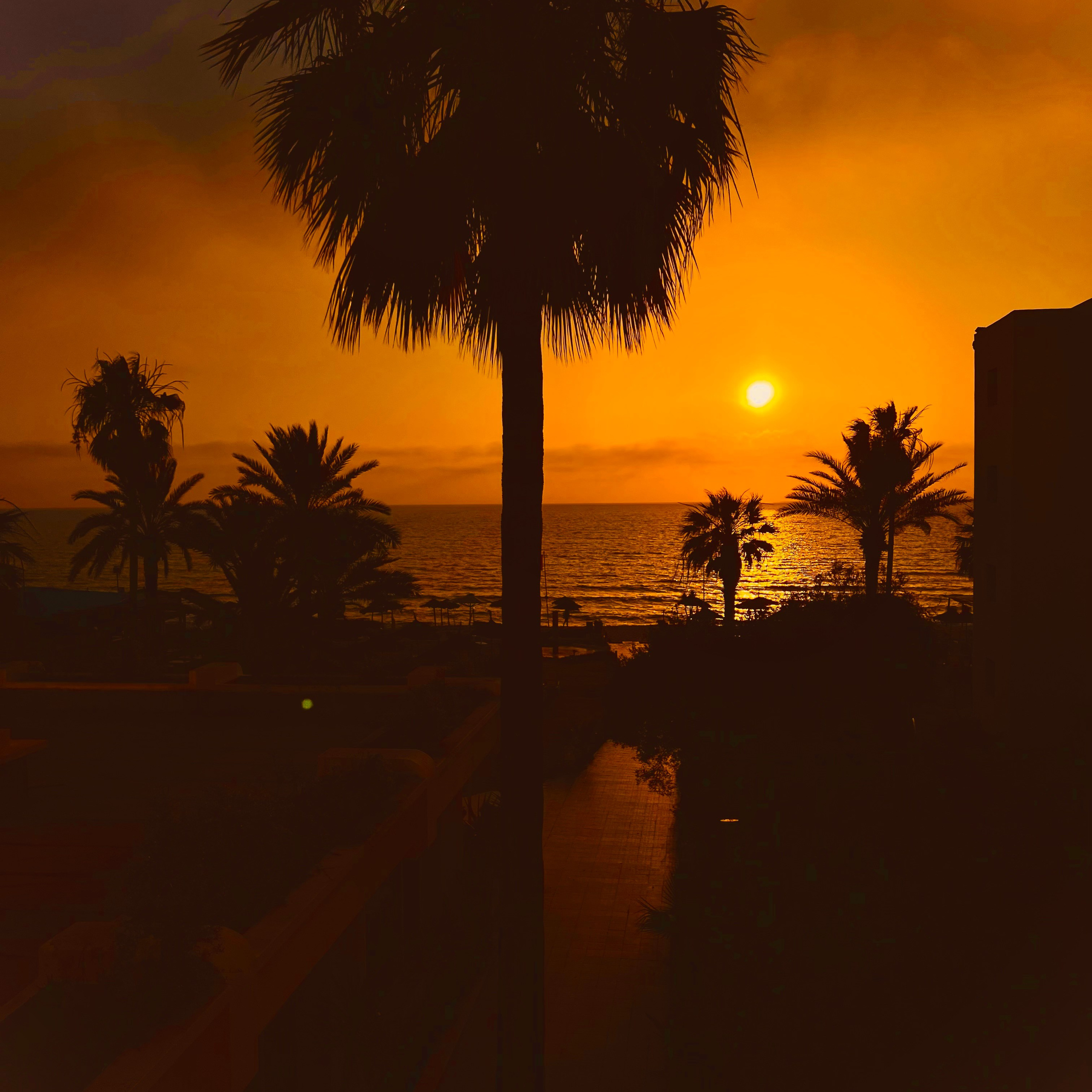 ЖАРА. Свадебный и семейный фотограф-Королева Натали/Раменское-Жуковский-Москва/тел.+7 (985) 153-75-43