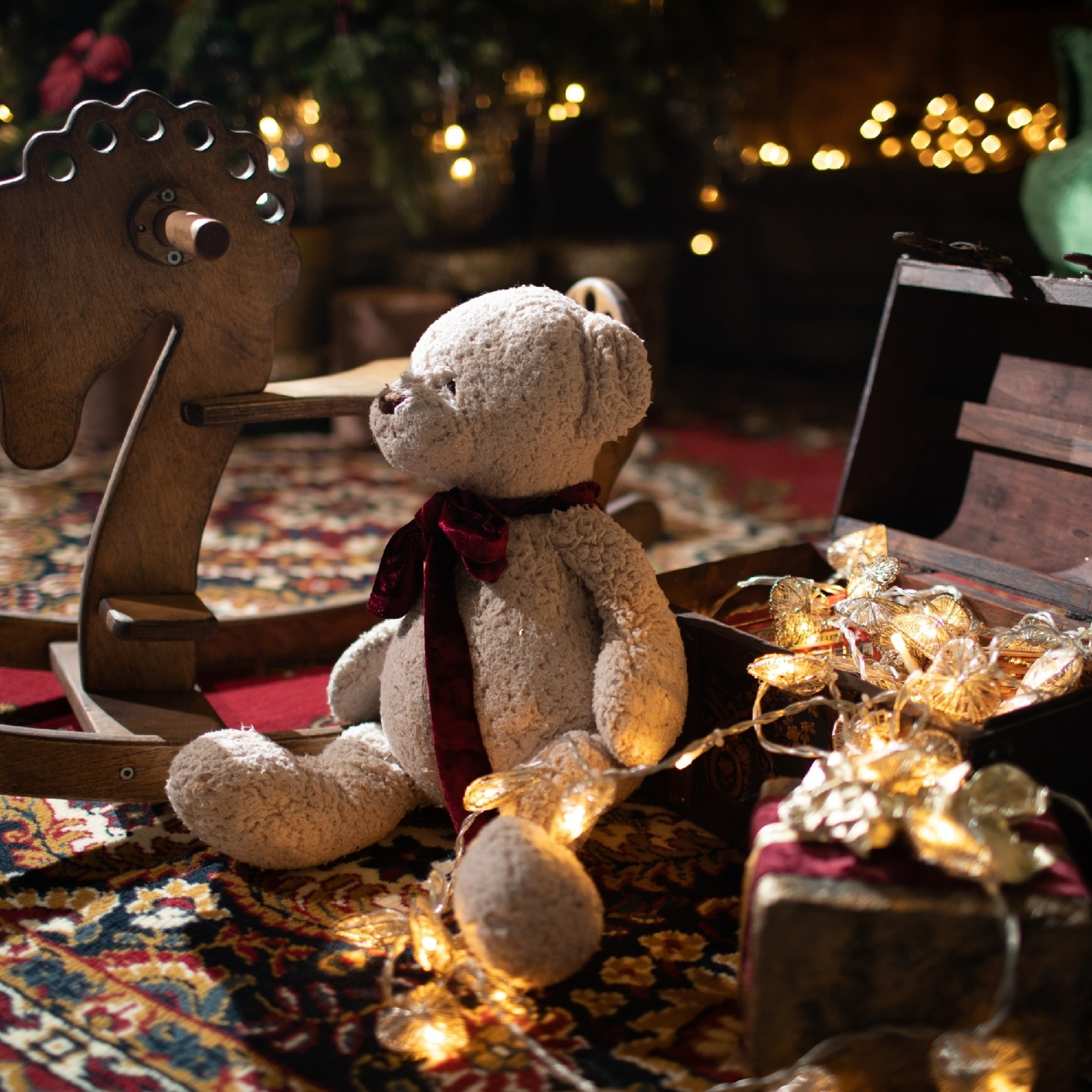 Новый год. Каплицкая Любовь — фотограф Тверь