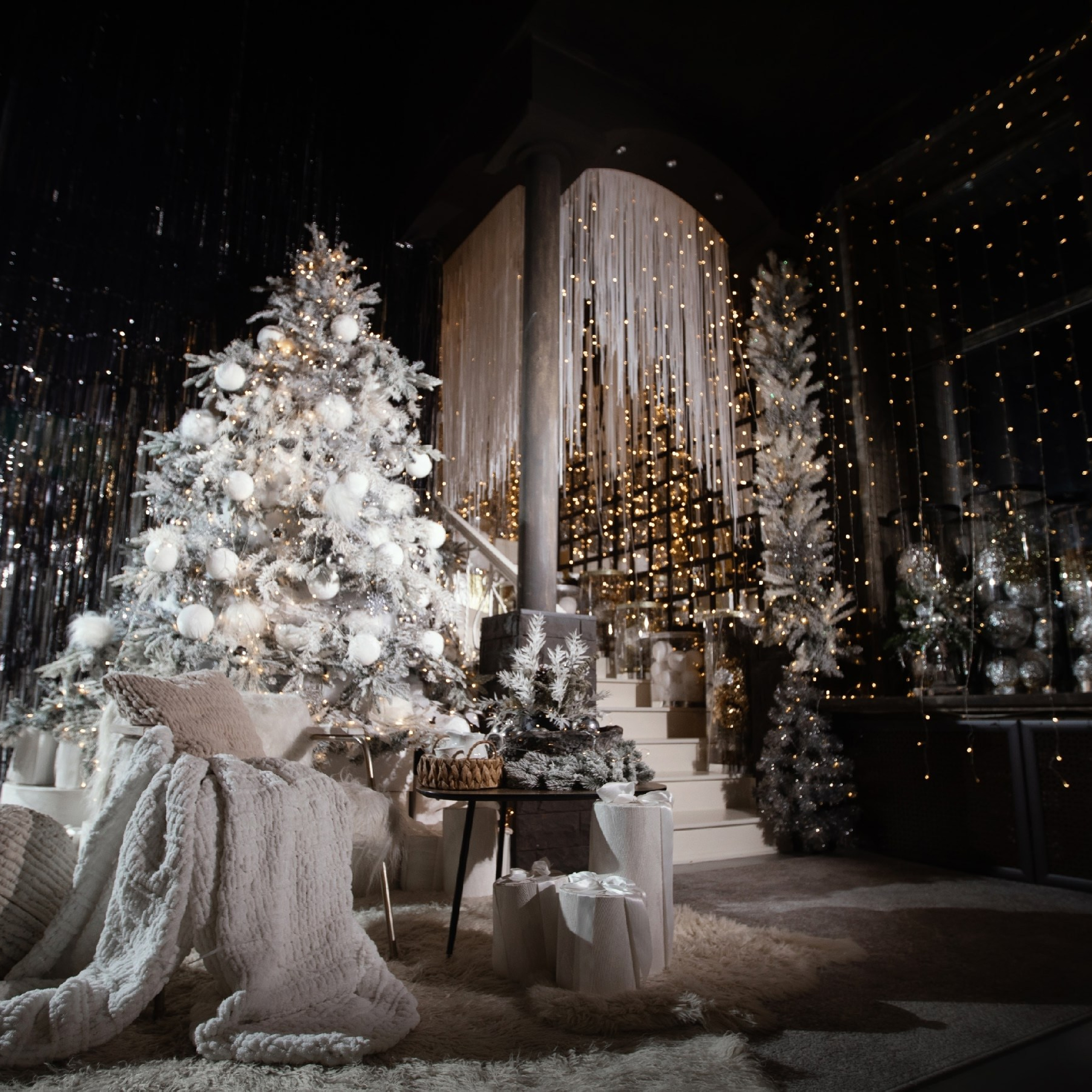 Новый год. Каплицкая Любовь — фотограф Тверь