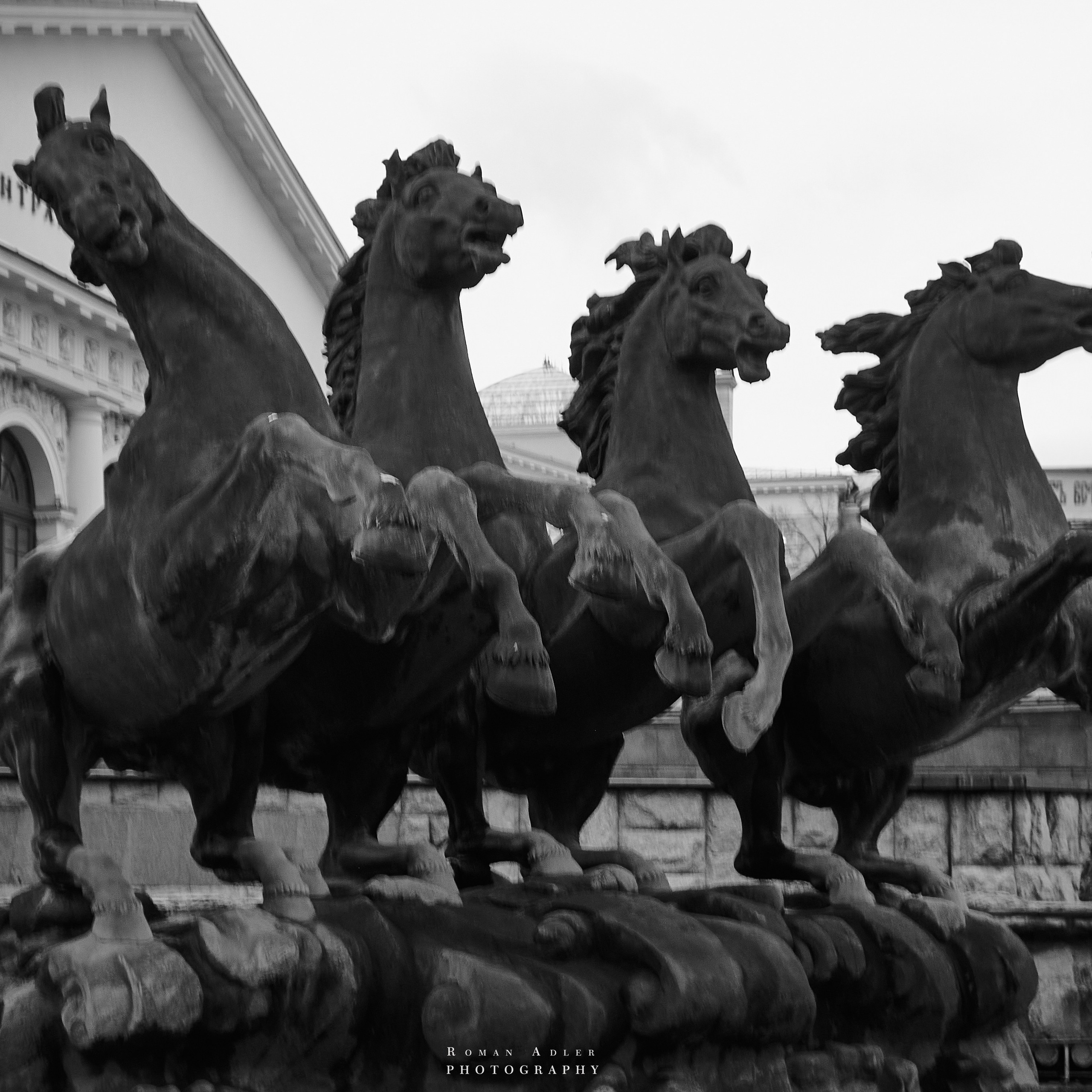 Дневник фотографа Романа Адлера. Фотограф Роман Адлер