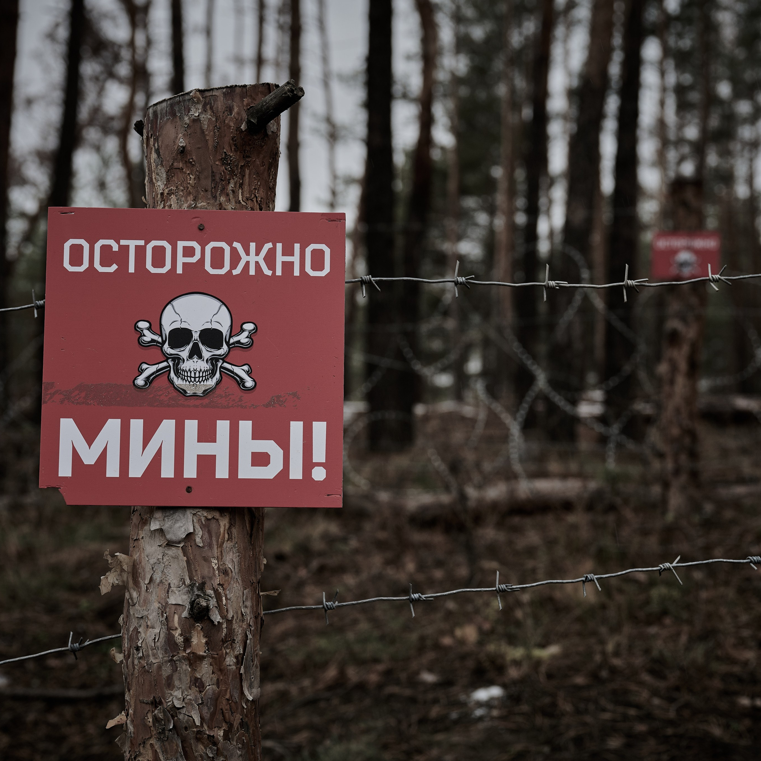 Дневник фотографа Романа Адлера. Фотограф Роман Адлер