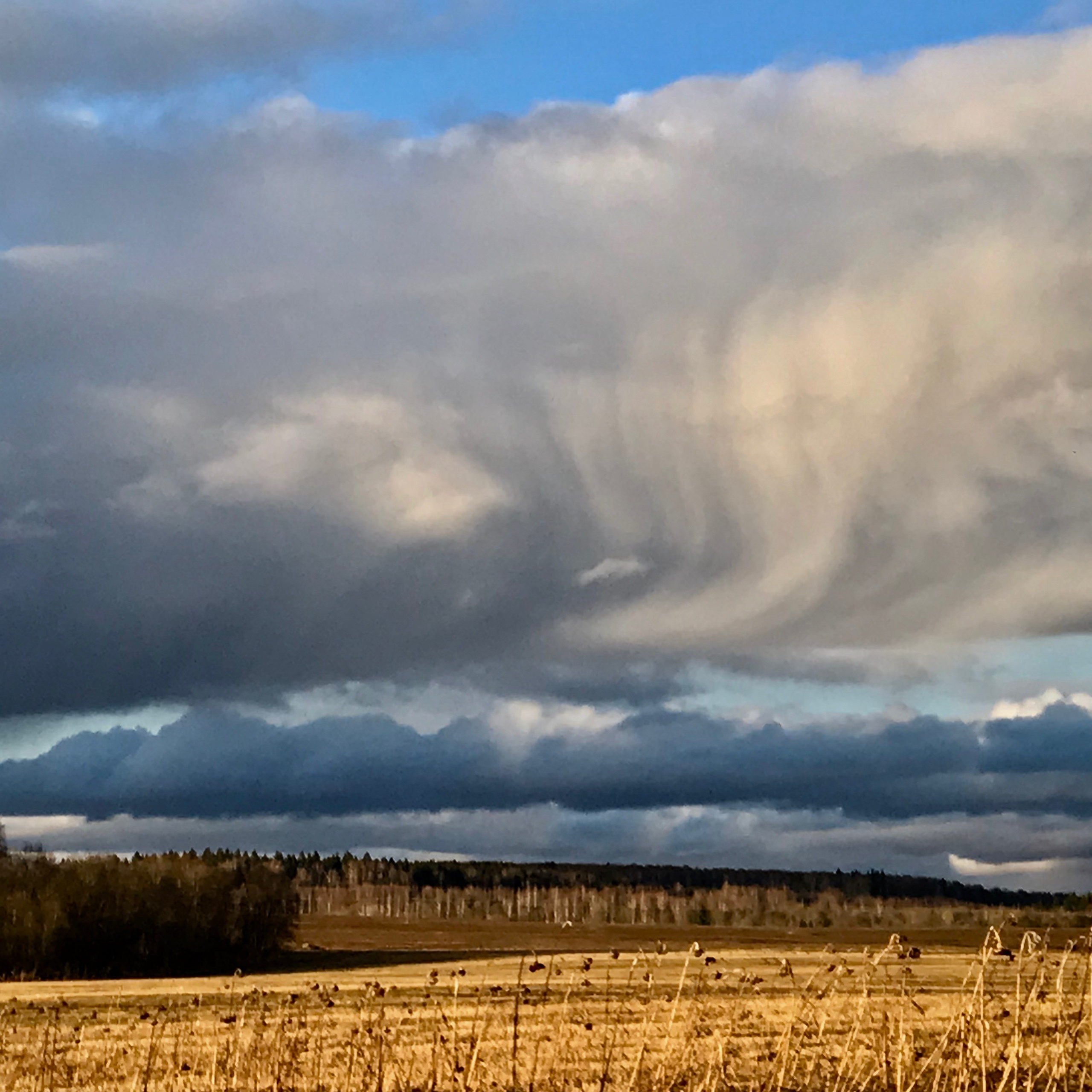 Вся природа оживает. Эко отдых в Подмосковье в эко-отеле Марии Гиппенрейтер
