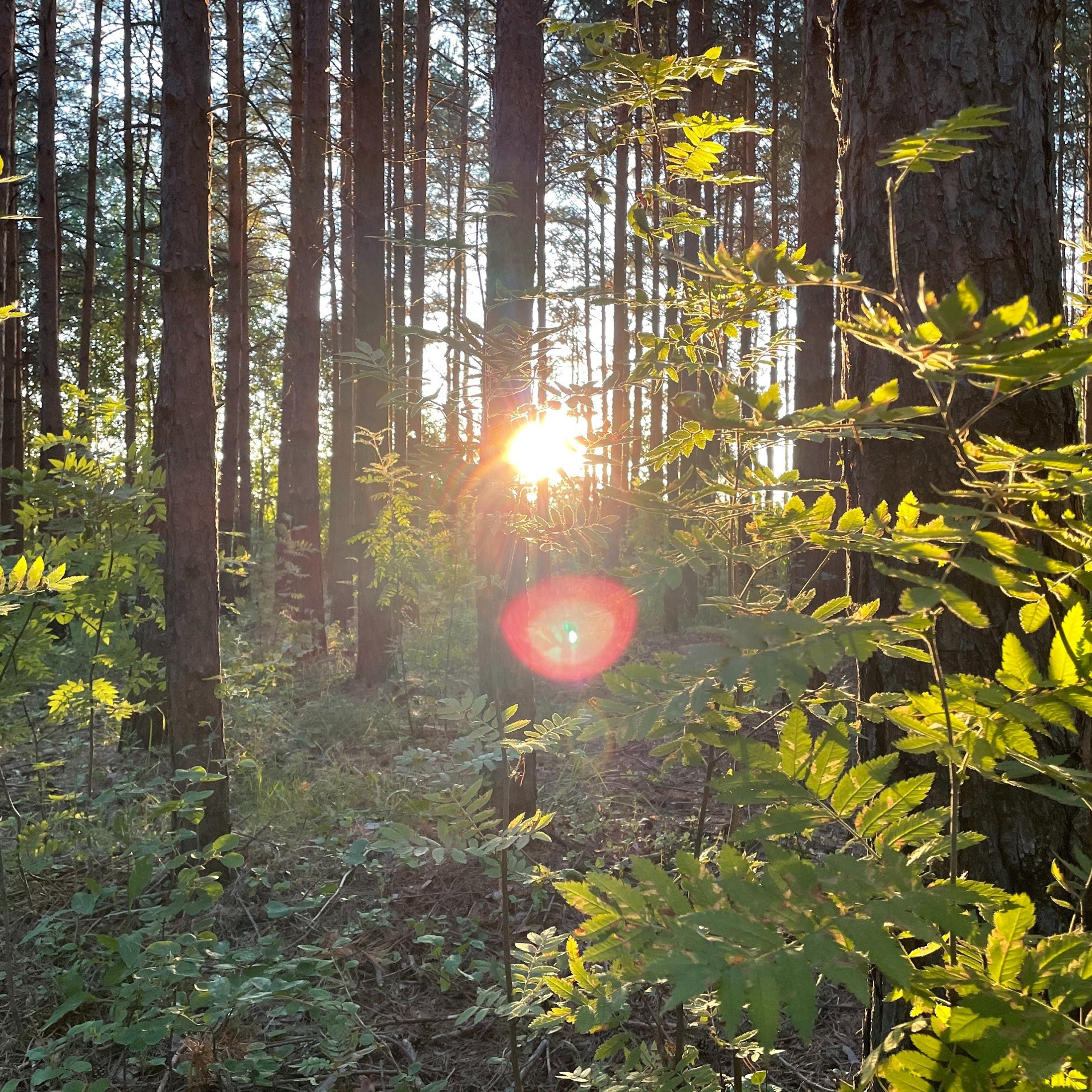 Фотопрогулки. Проект «Фотокладовка»: блог уличной фотографии в формате street photo