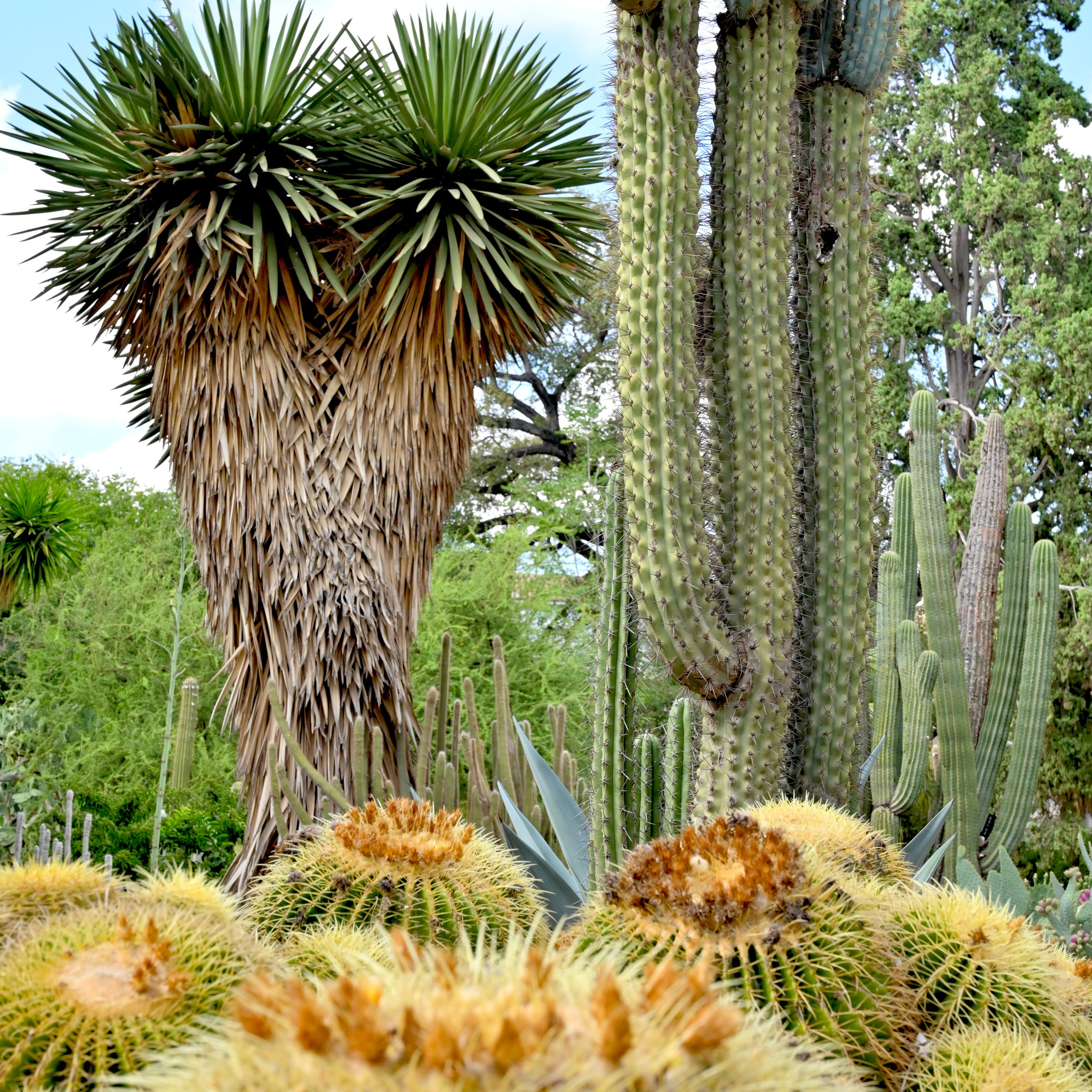 Валенсия — зелёная столица Европы. Гид и фотограф в Валенсии Новиков Михаил