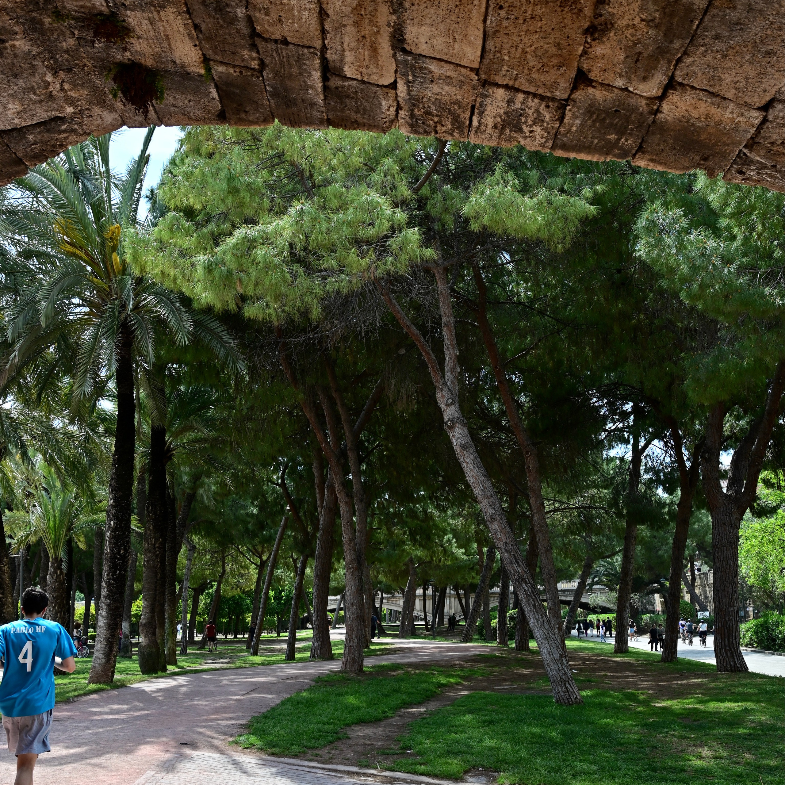 Из средневековой Валенсии в Город искусств и наук через сады Турии. Гид и фотограф в Валенсии Новиков Михаил