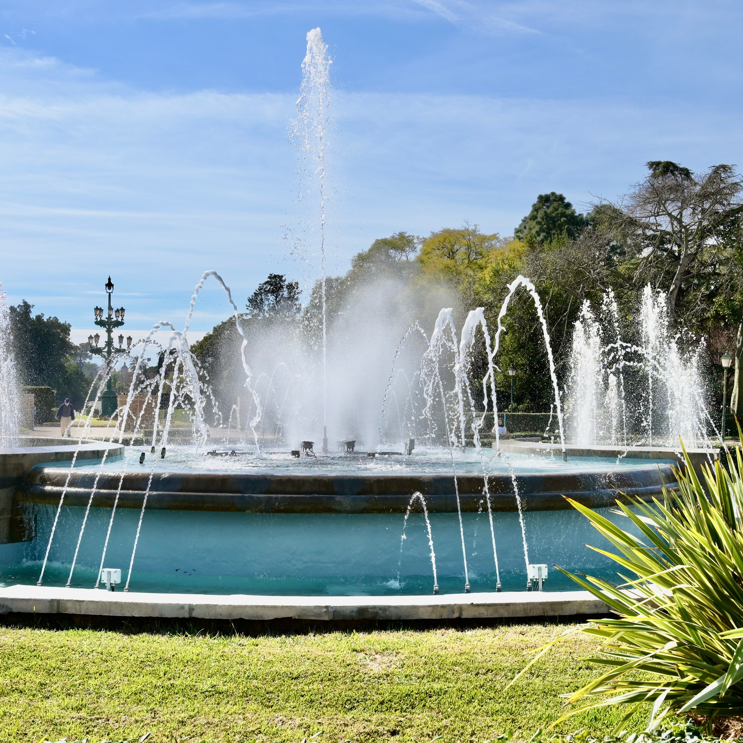 Королевский парк. Гид и фотограф в Валенсии Новиков Михаил