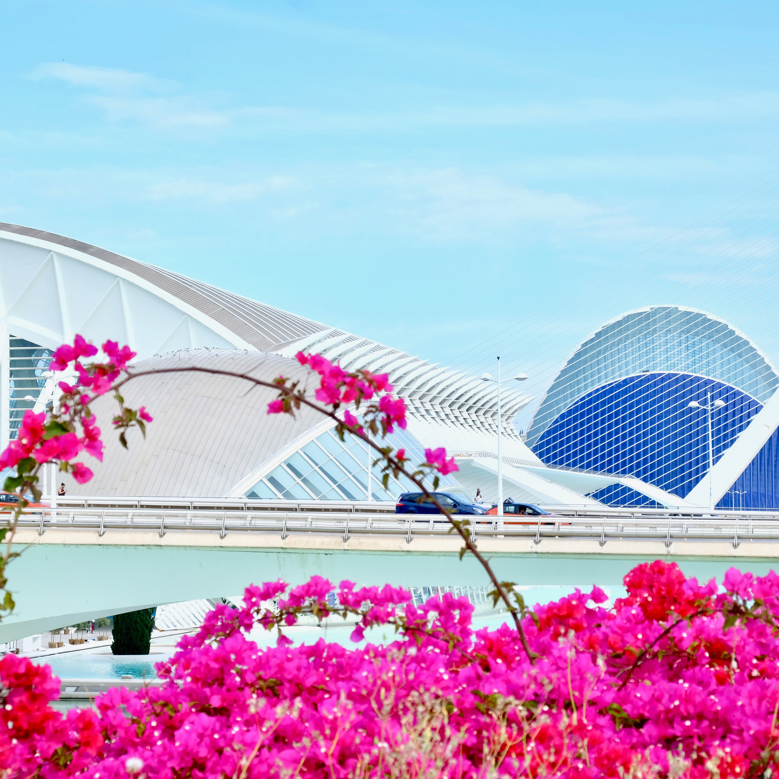 Фотография города искусств и наук (Валенсия, Испания)