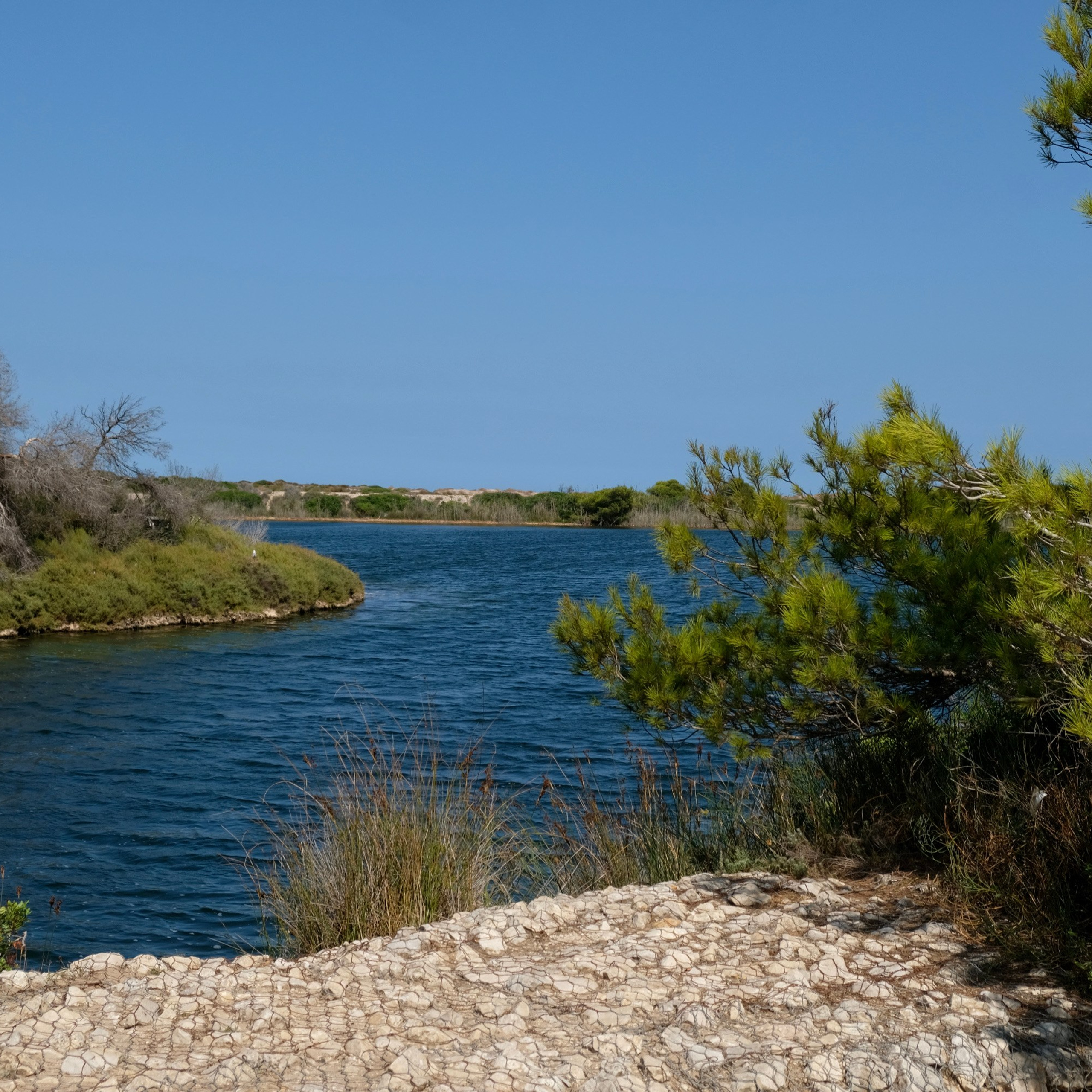 Валенсия — зелёная столица Европы. Гид и фотограф в Валенсии Новиков Михаил