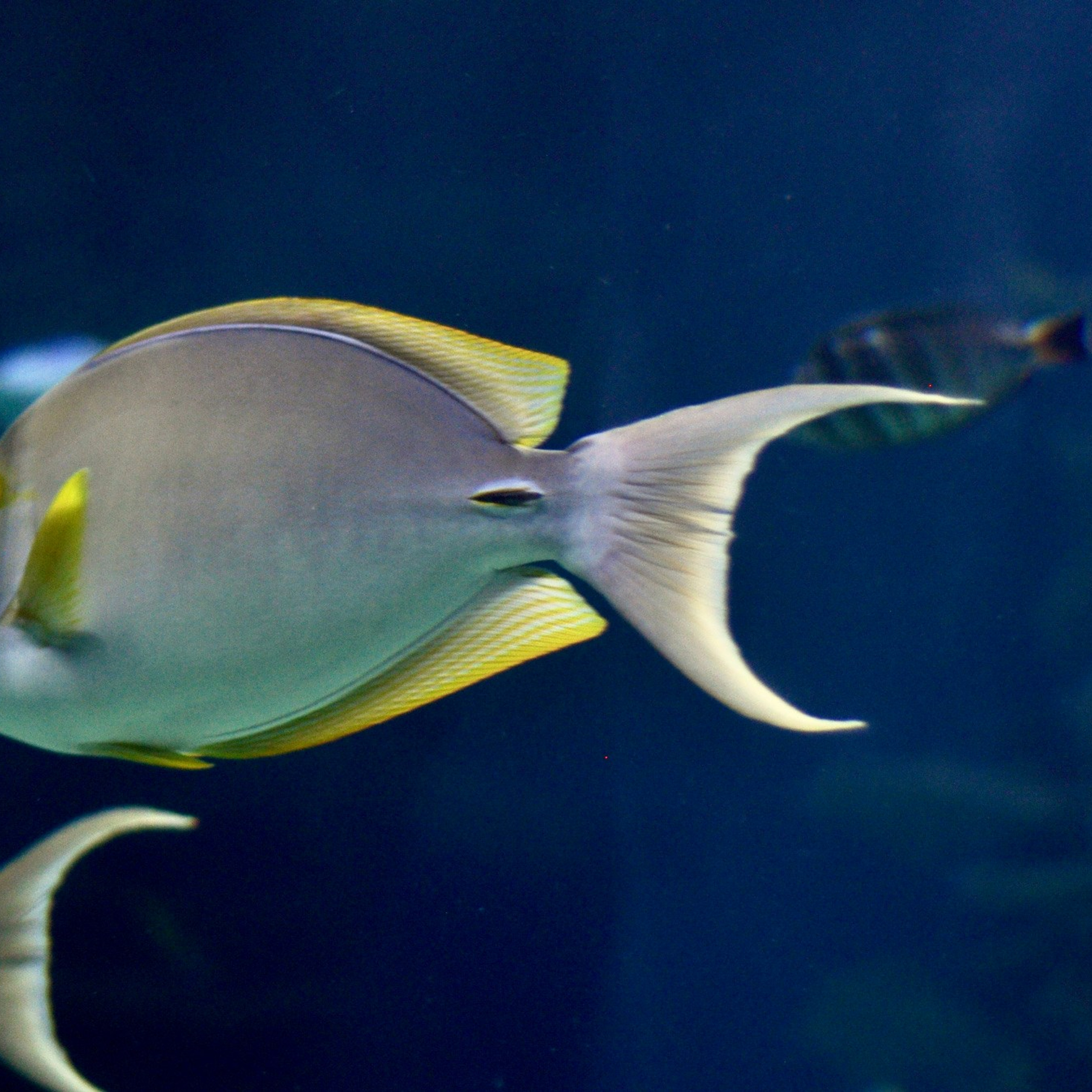 Океанографик в Валенсии. Гид и фотограф в Валенсии Новиков Михаил