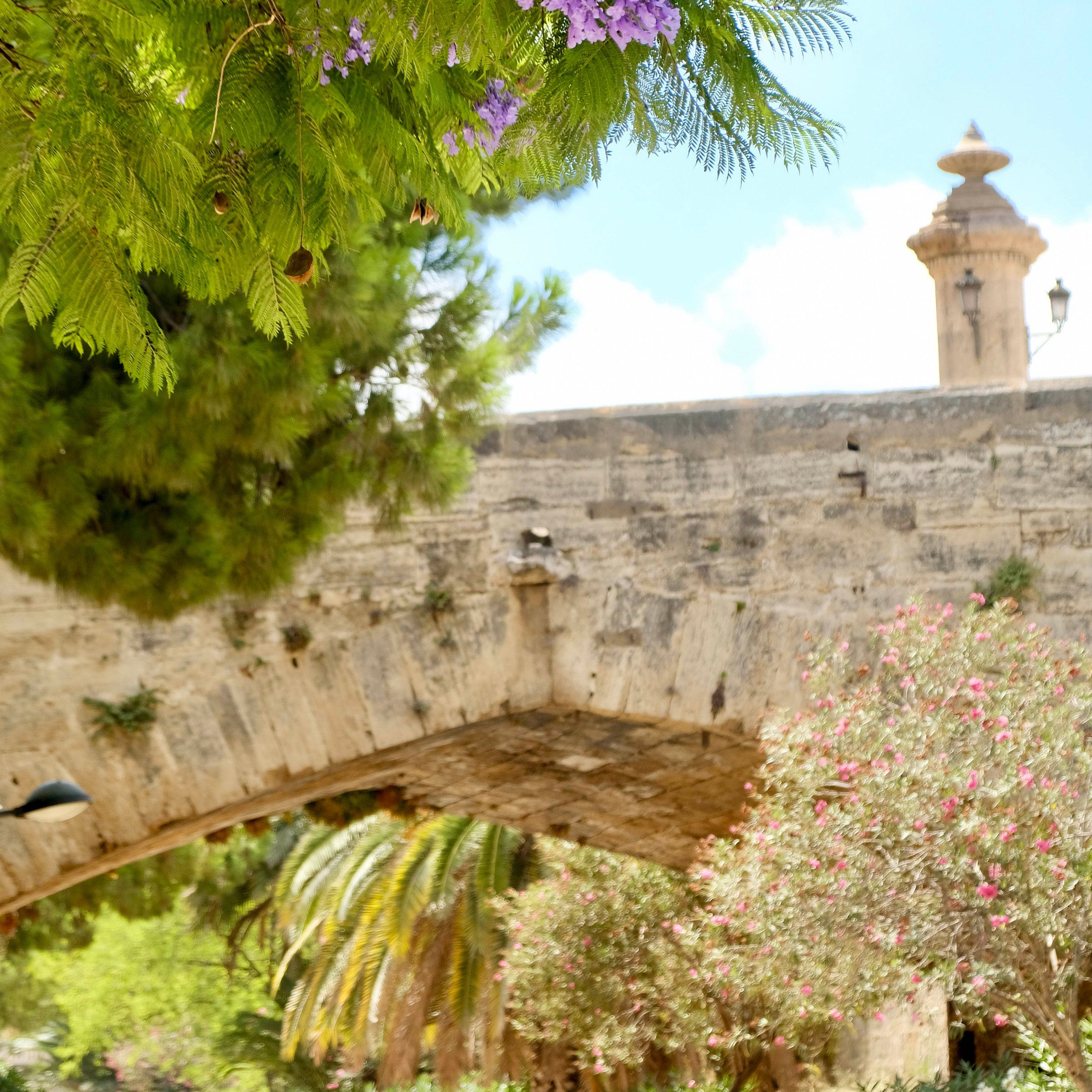 Из средневековой Валенсии в Город искусств и наук через сады Турии. Гид и фотограф в Валенсии Новиков Михаил