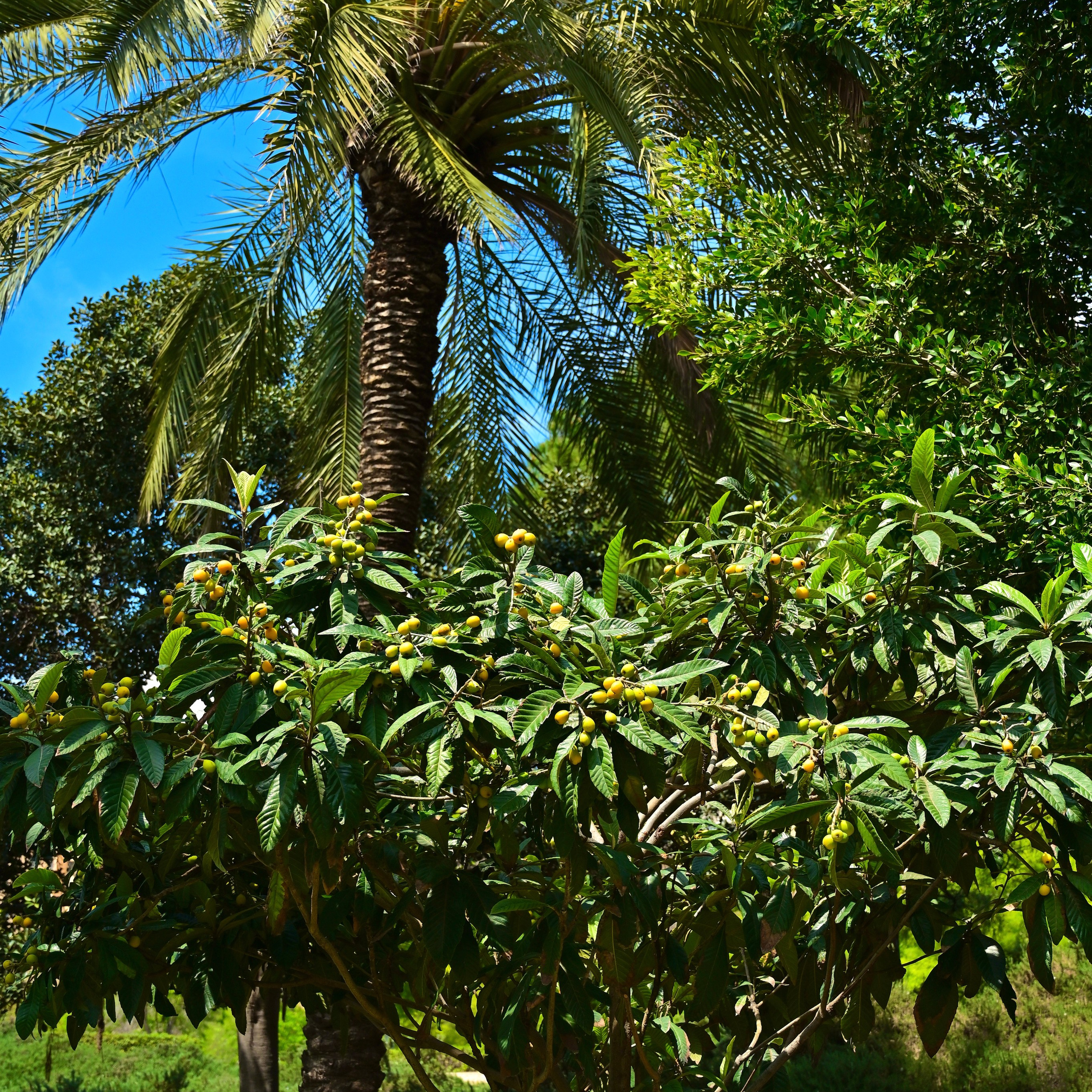 Из средневековой Валенсии в Город искусств и наук через сады Турии. Гид и фотограф в Валенсии Новиков Михаил