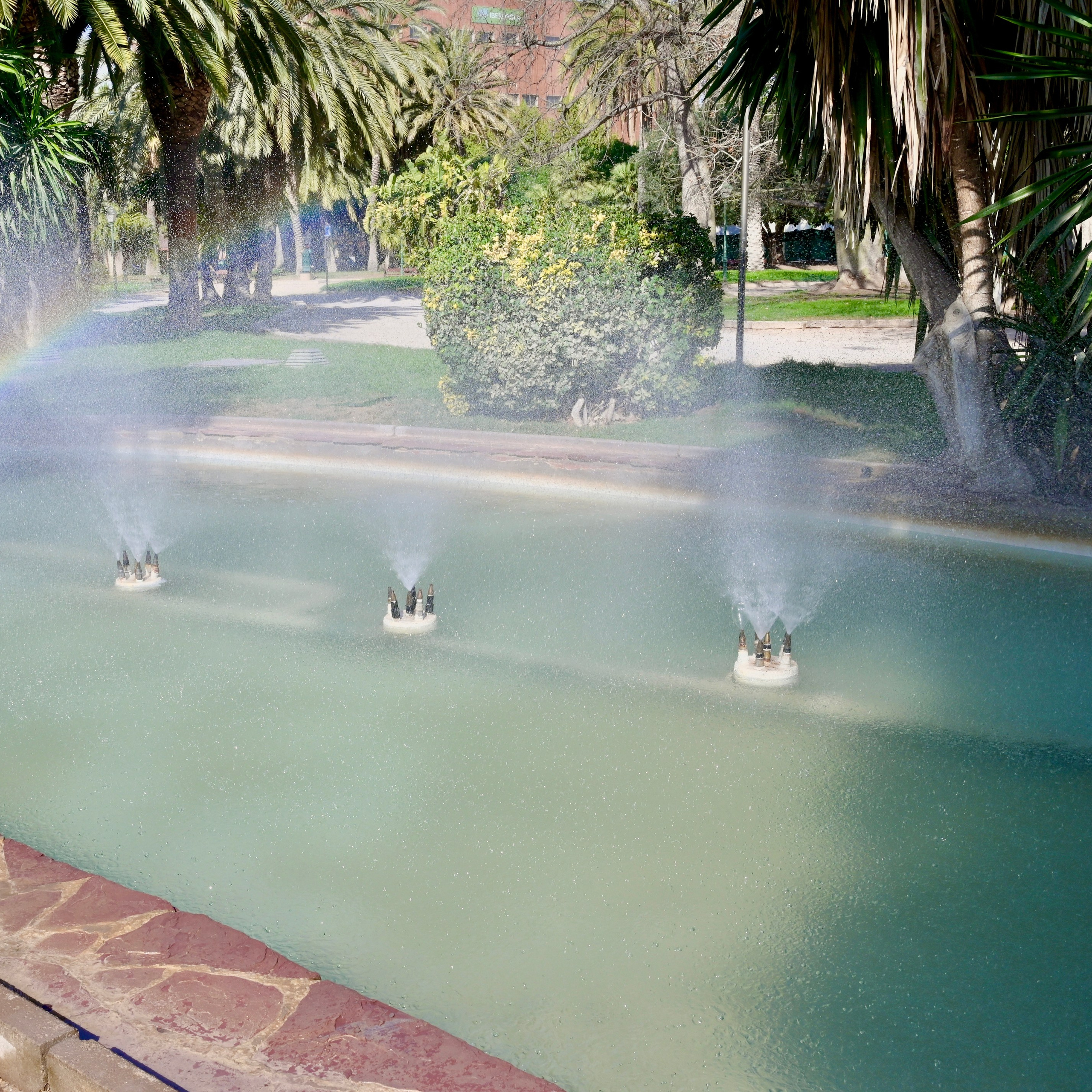 Королевский парк. Гид и фотограф в Валенсии Новиков Михаил