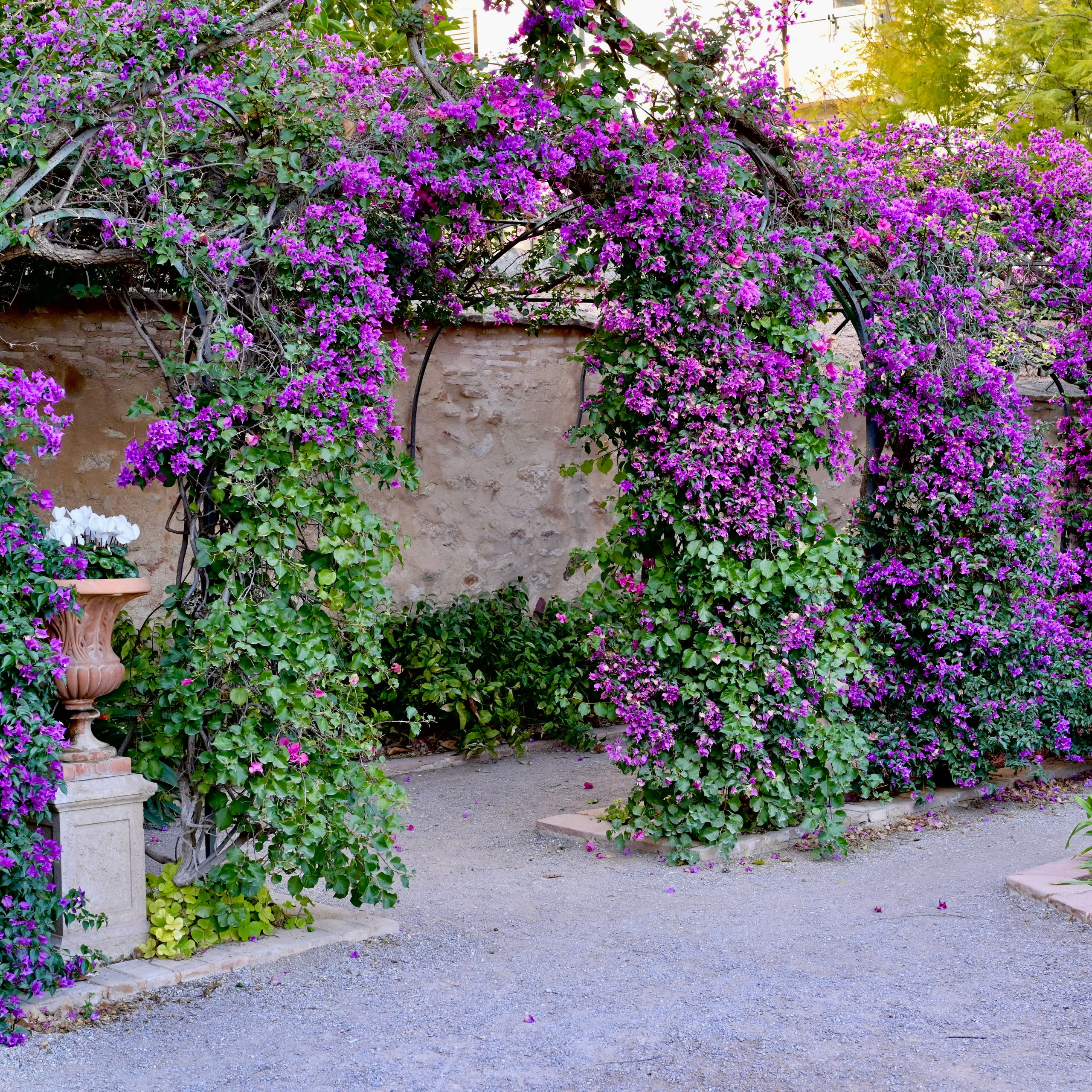 Мосты парка Турия в Валенсии. Гид и фотограф в Валенсии Новиков Михаил