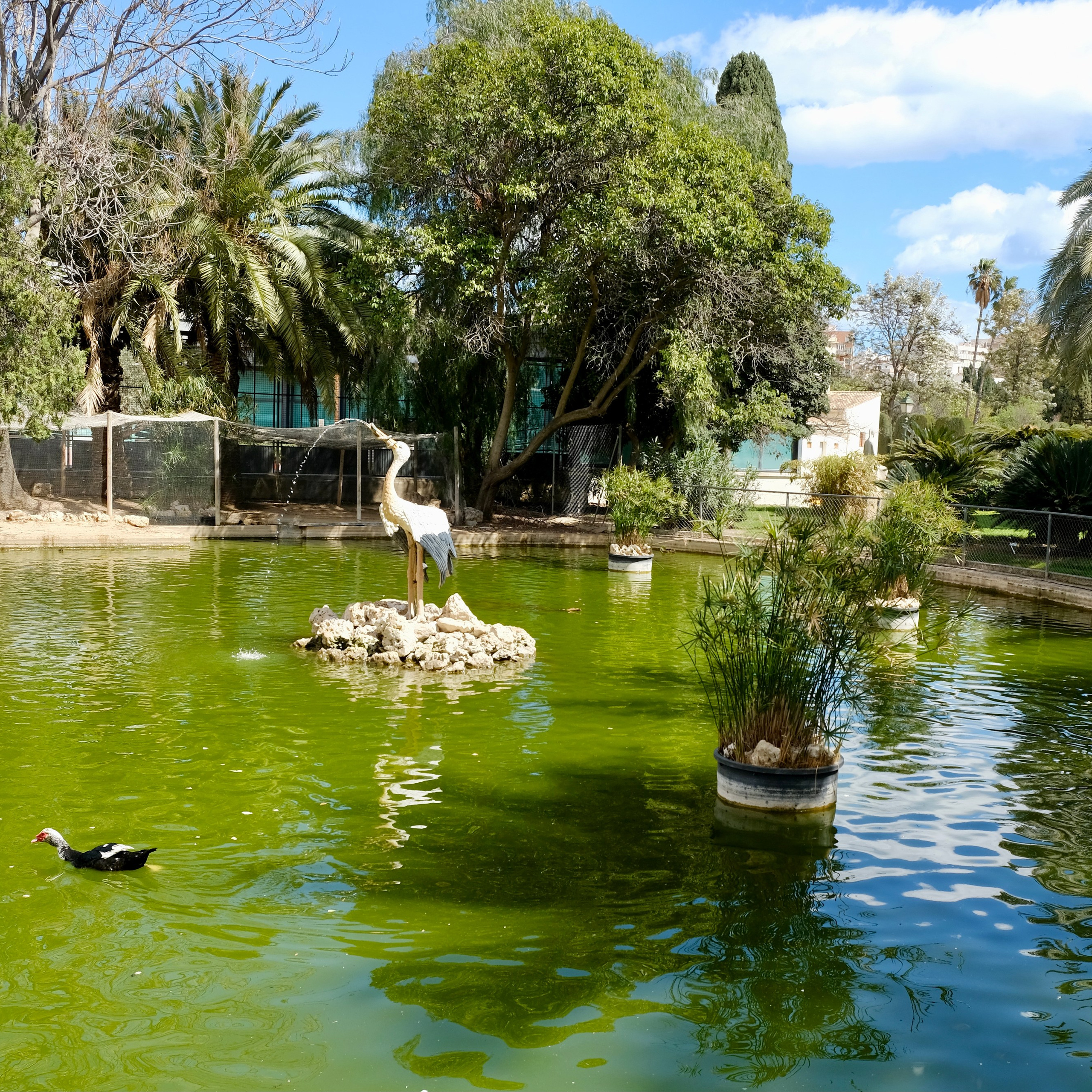 Королевский парк. Гид и фотограф в Валенсии Новиков Михаил