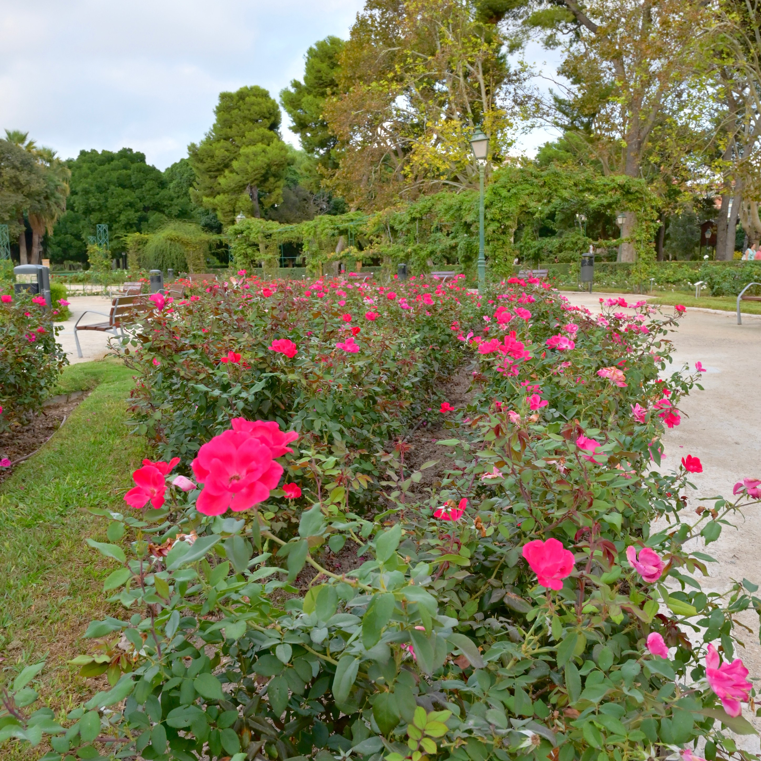 Королевский парк в Валенсии (Испания)