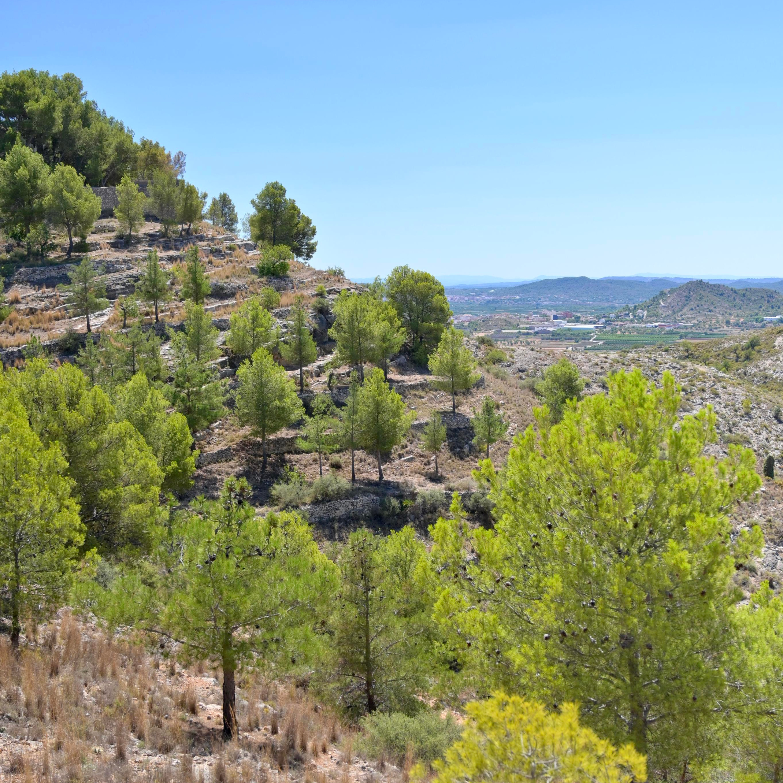 Лирия (Liria, España). Гид и фотограф в Валенсии Новиков Михаил