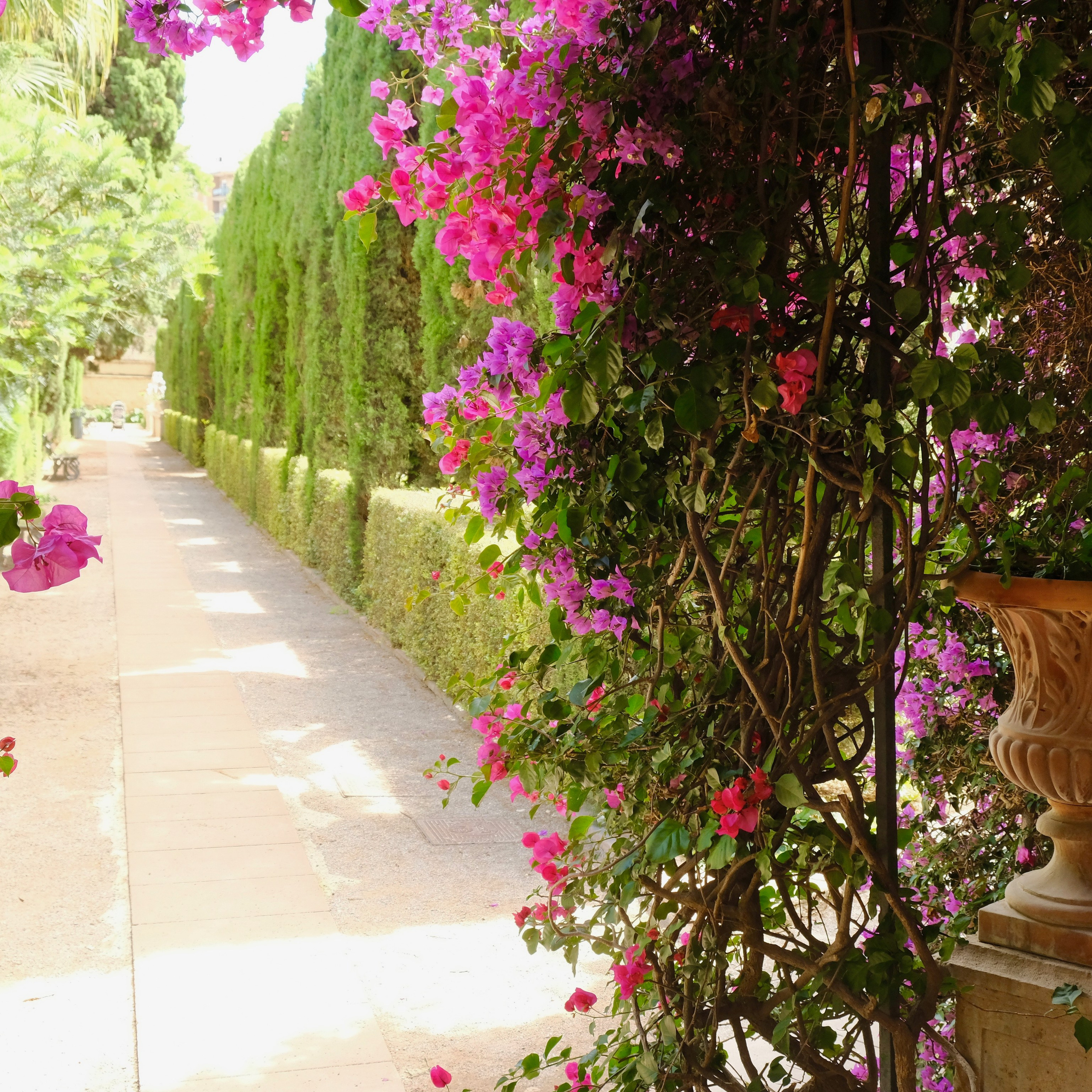 Мосты парка Турия в Валенсии. Гид и фотограф в Валенсии Новиков Михаил