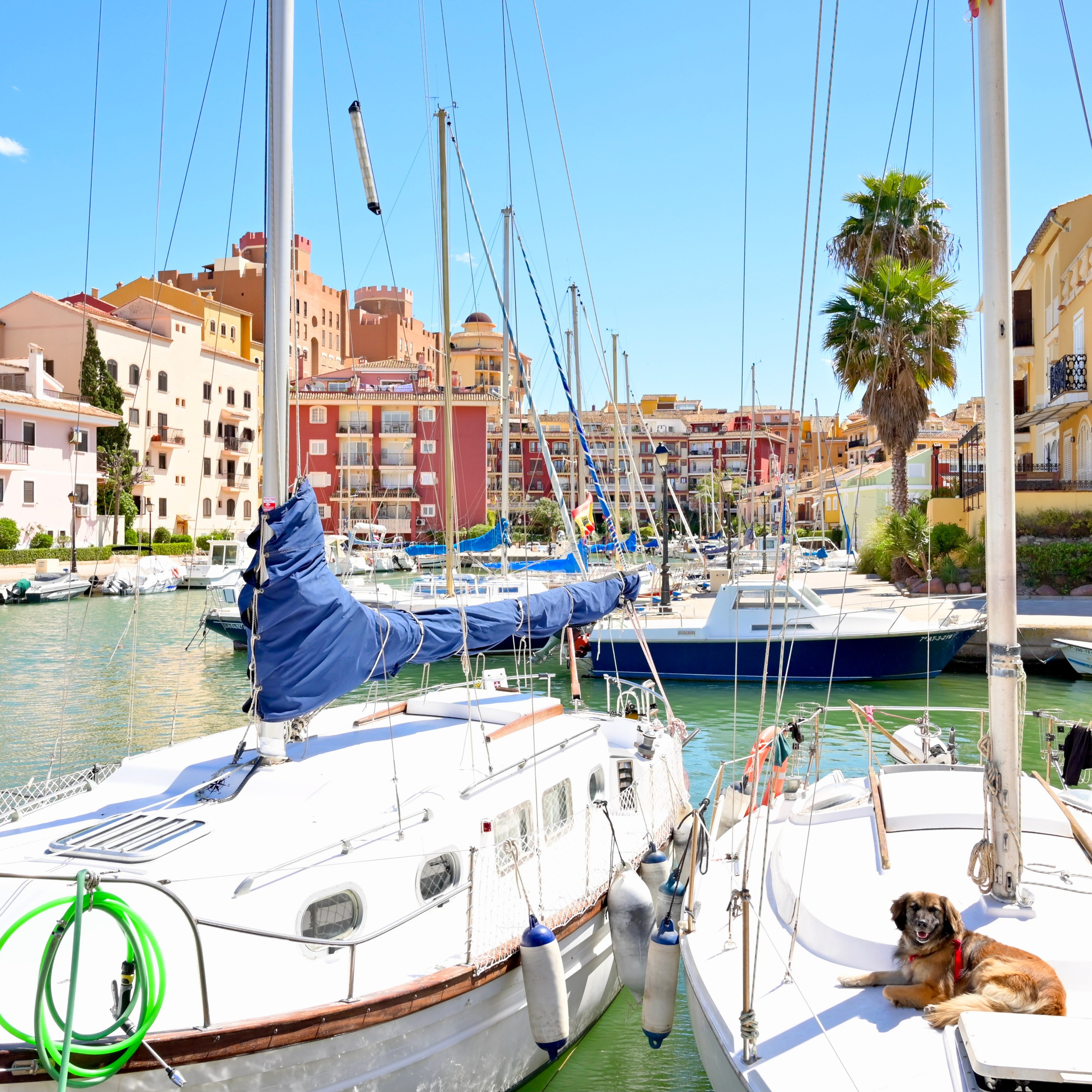 Потр Саплая в пригороде Альборая недалеко от Валенсии (Испания) уникальное место для отдыха и фотосессий. Добраться можно пешком вдоль плажей Мальваросо и Патакона или на автобусе 112В.