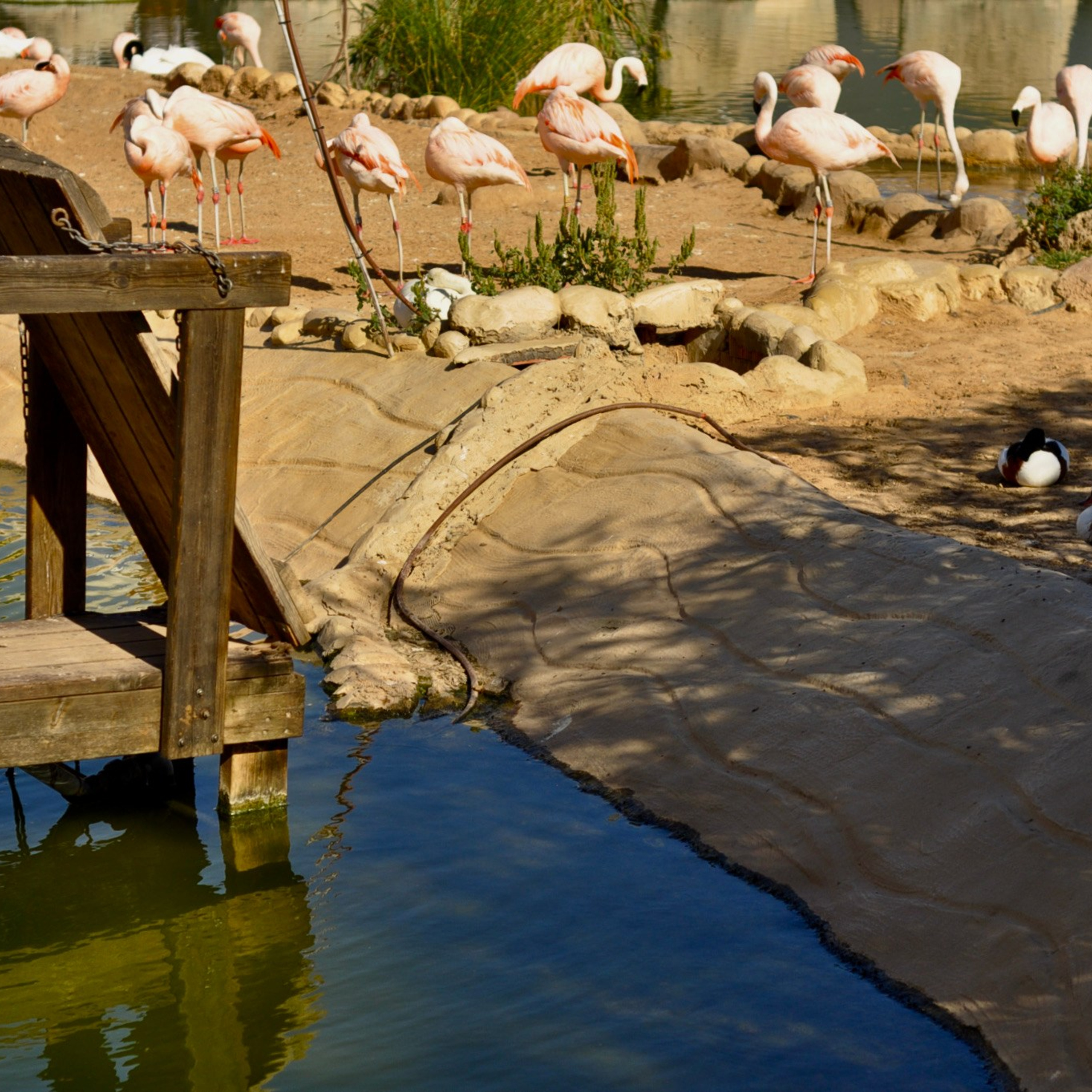 Океанографик в Валенсии. Гид и фотограф в Валенсии Новиков Михаил