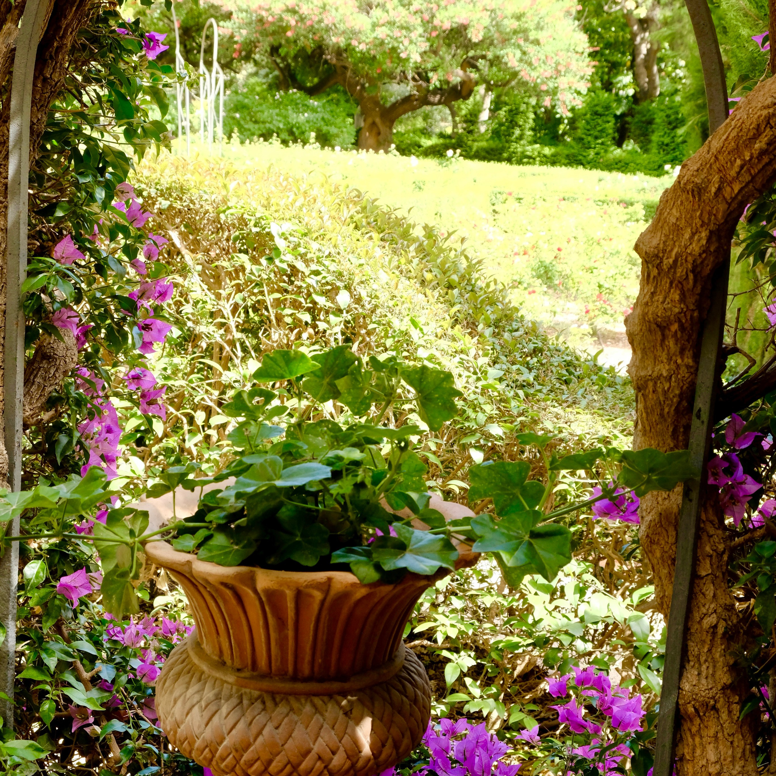 Мосты парка Турия в Валенсии. Гид и фотограф в Валенсии Новиков Михаил