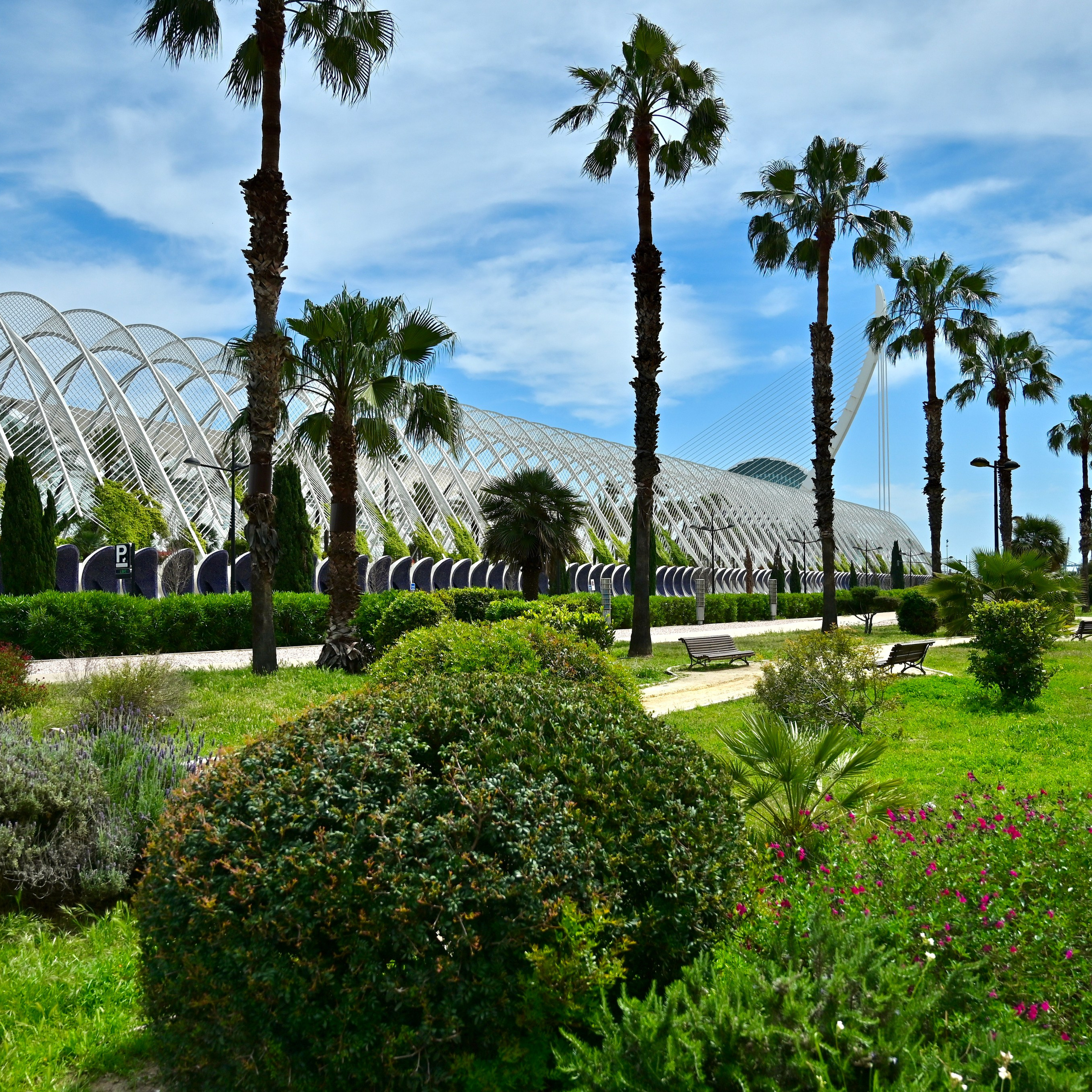 Из средневековой Валенсии в Город искусств и наук через сады Турии. Гид и фотограф в Валенсии Новиков Михаил