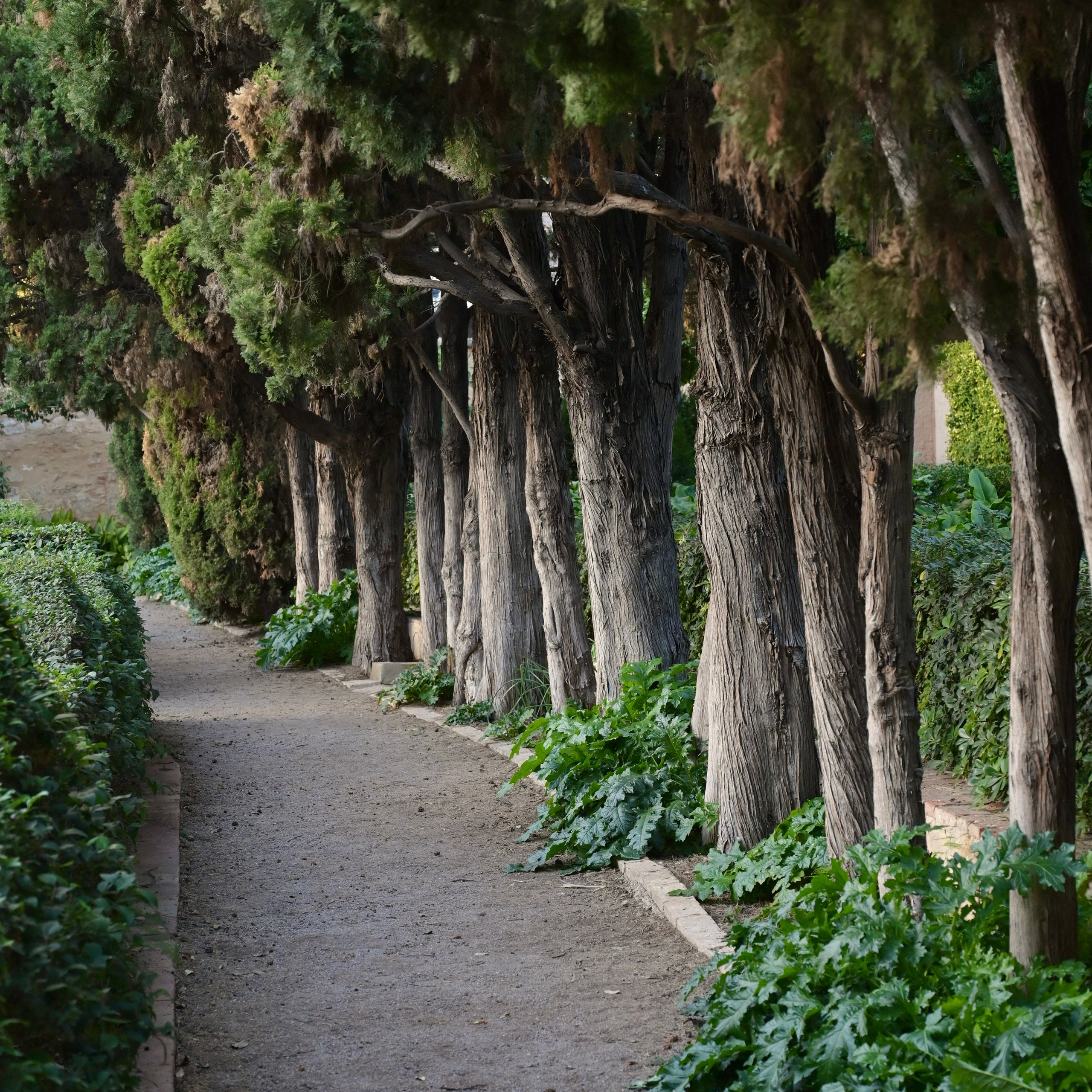 Мосты парка Турия в Валенсии. Гид и фотограф в Валенсии Новиков Михаил