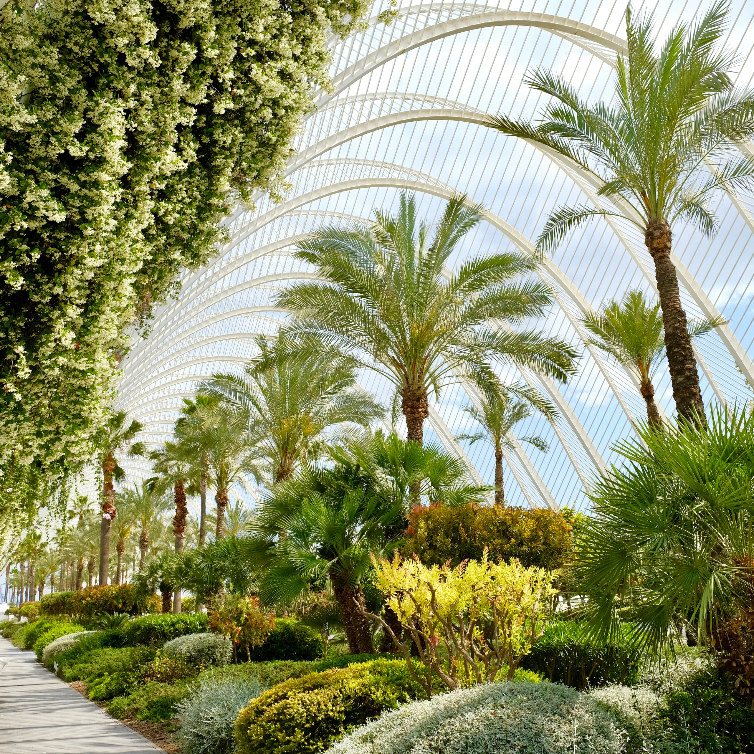 Сад Умбракл. Гид и фотограф в Валенсии Новиков Михаил