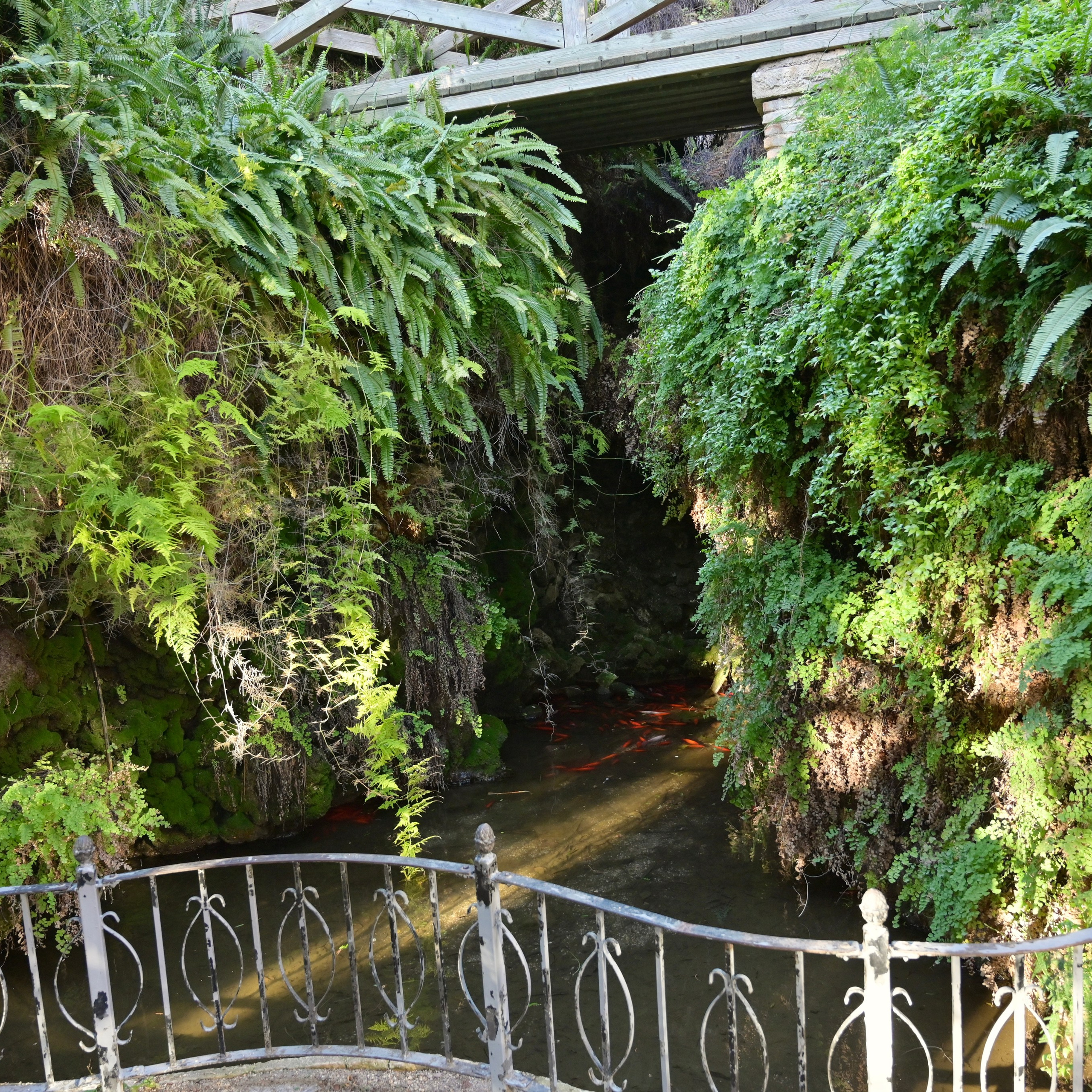 Мосты парка Турия в Валенсии. Гид и фотограф в Валенсии Новиков Михаил