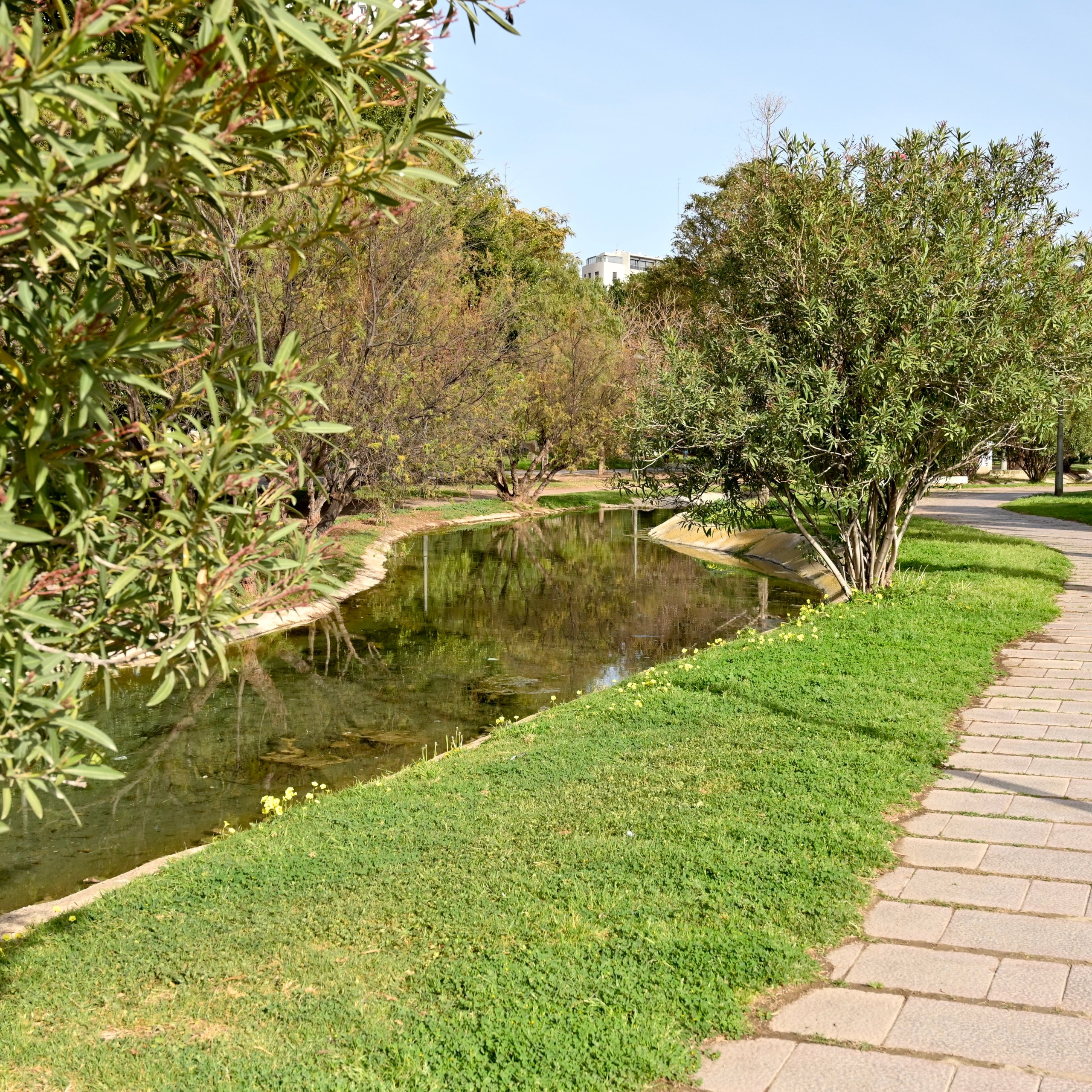 Валенсия — зелёная столица Европы. Гид и фотограф в Валенсии Новиков Михаил